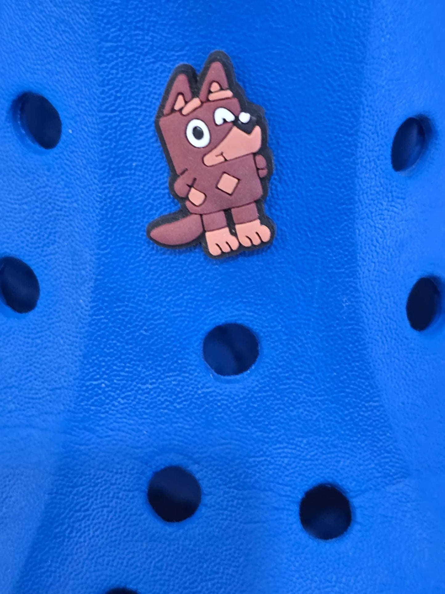 Bluey and Friends Charms