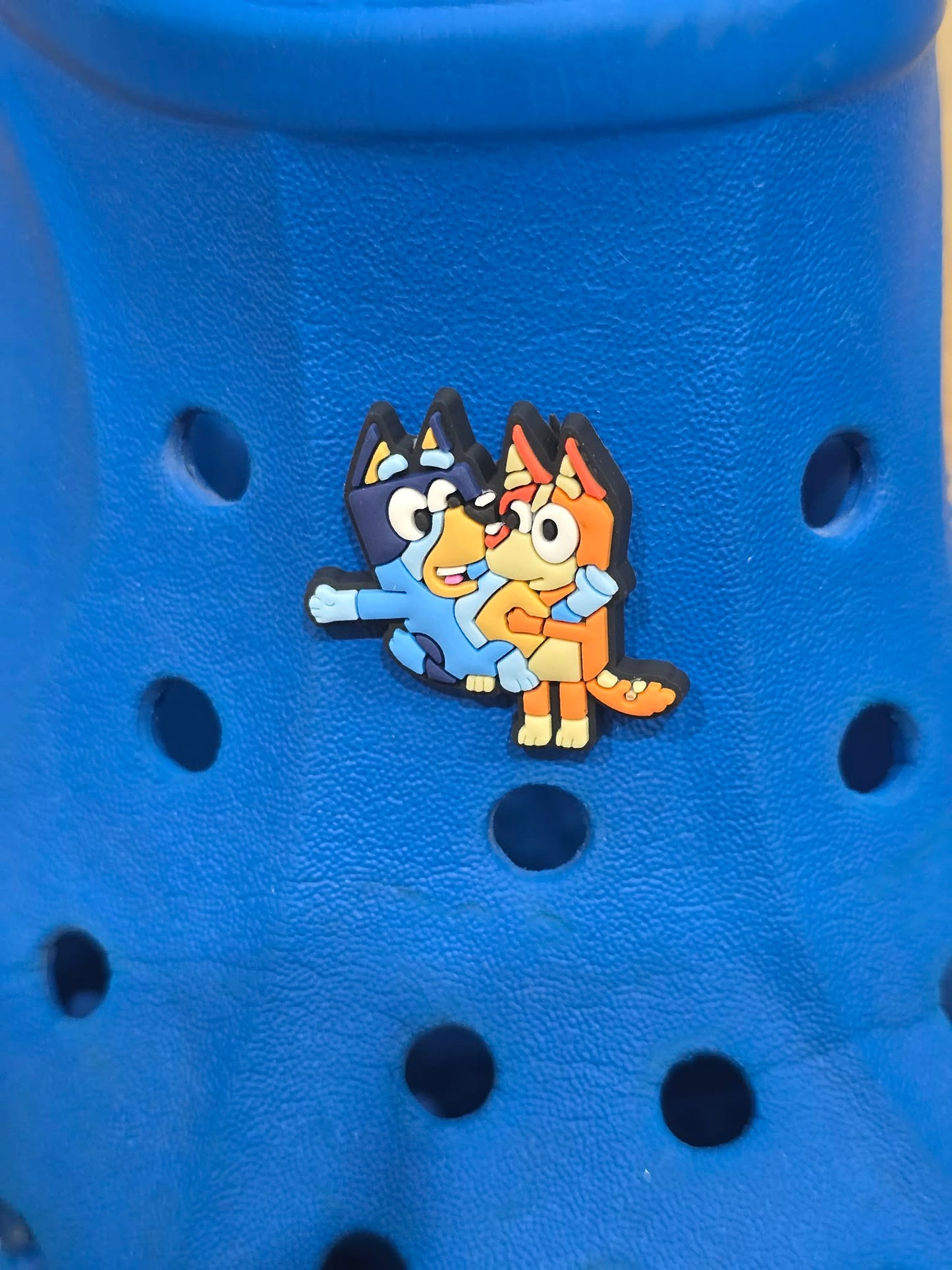 Bluey and Friends Charms