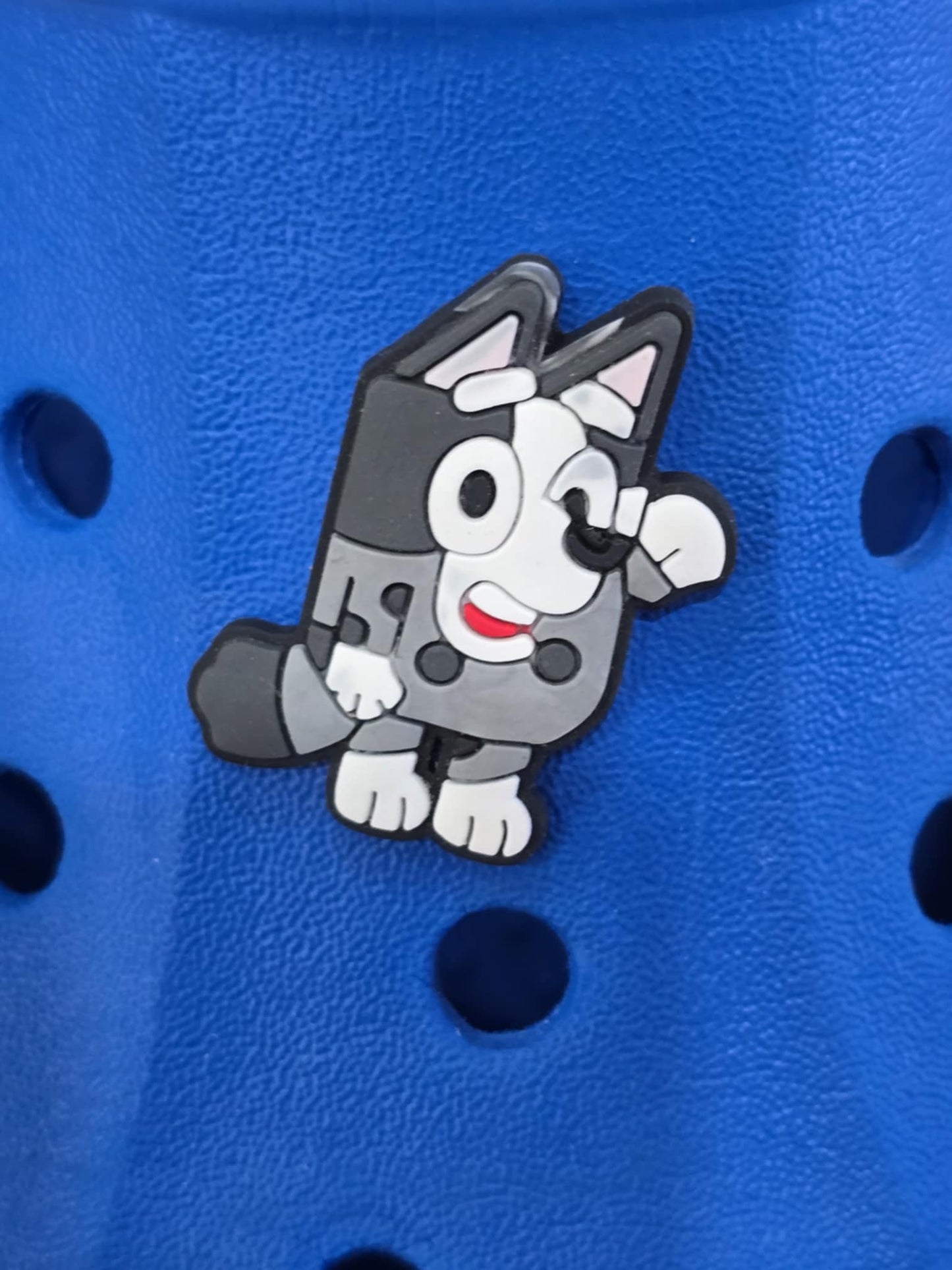 Bluey and Friends Charms