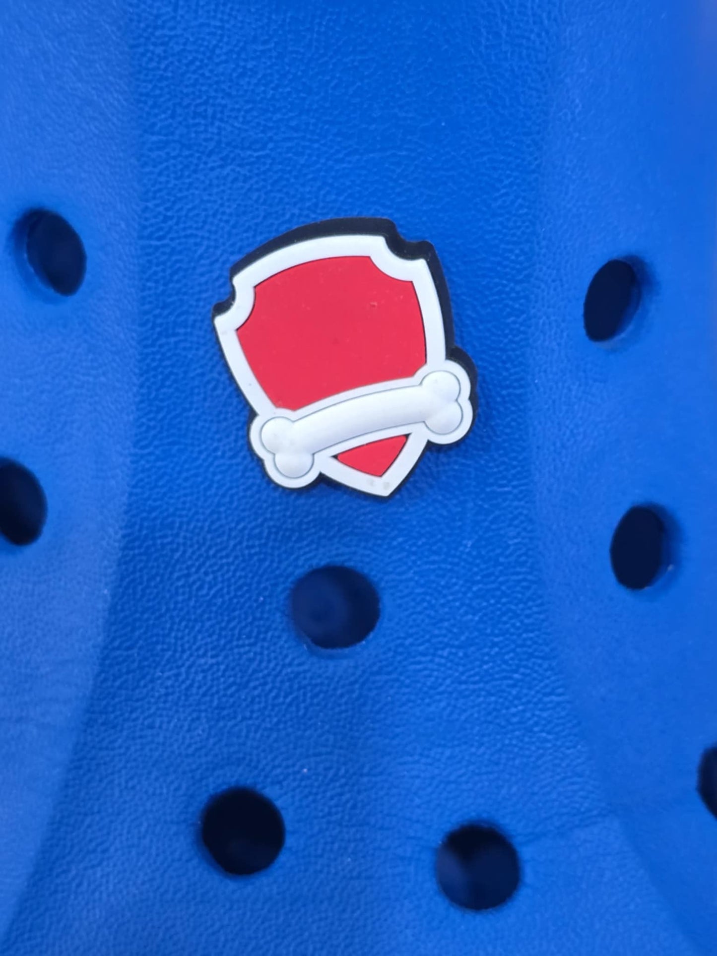 Paw Patrol Charms