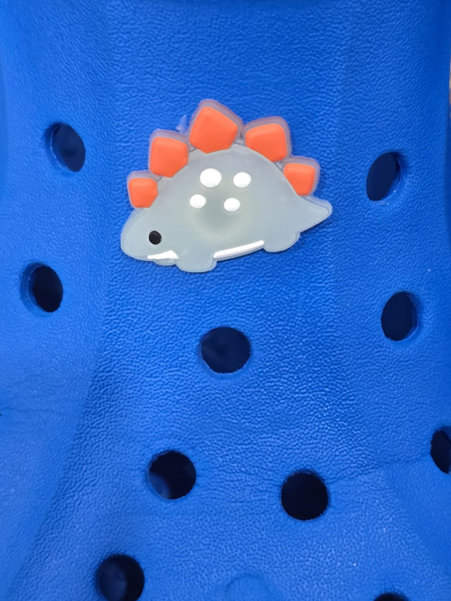 Dinosaurs Charms