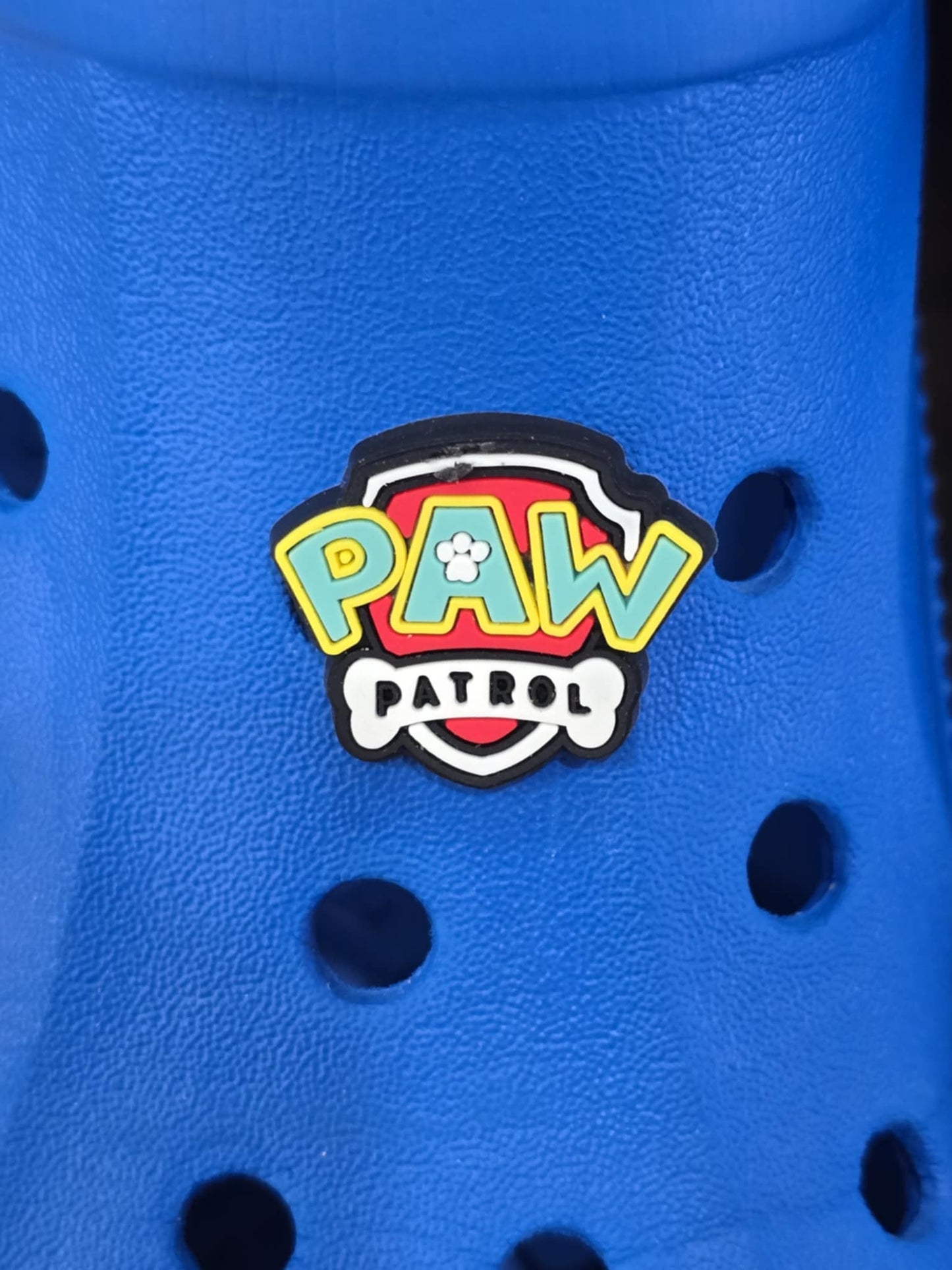 Paw Patrol Charms
