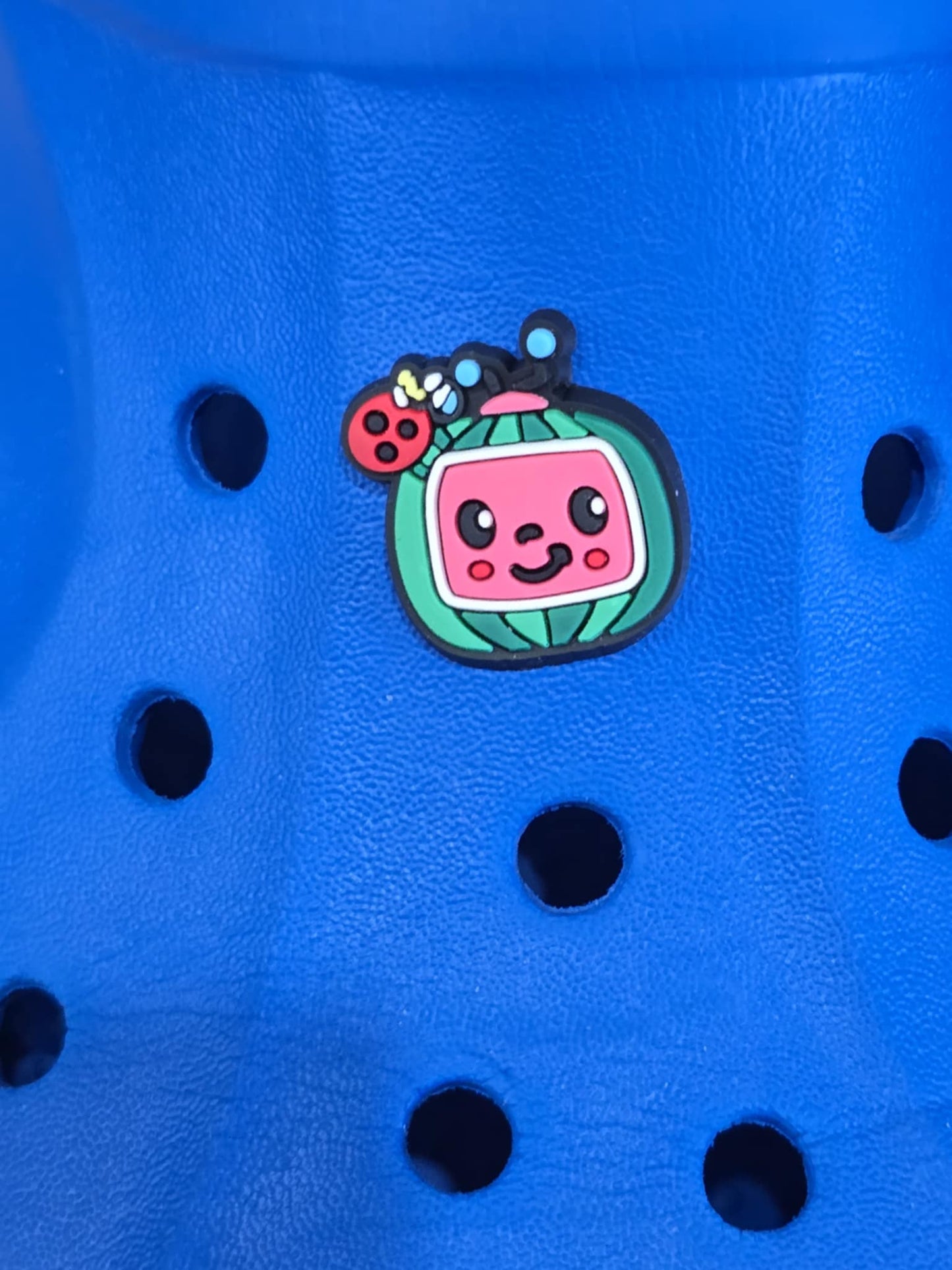 Cocomelon Charms