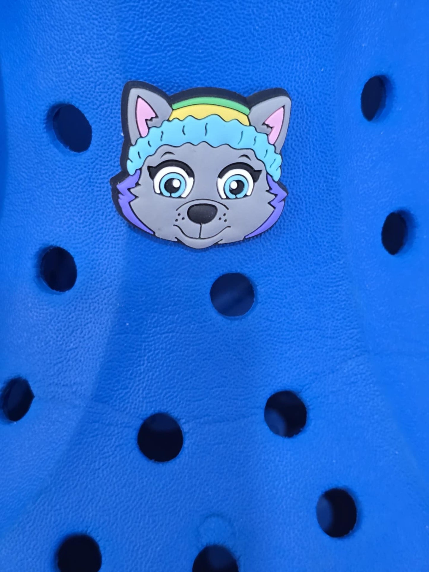 Paw Patrol Charms