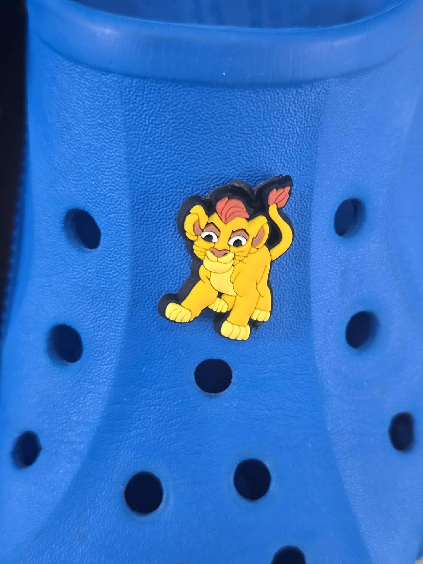 Lion King Themed Croc Charms