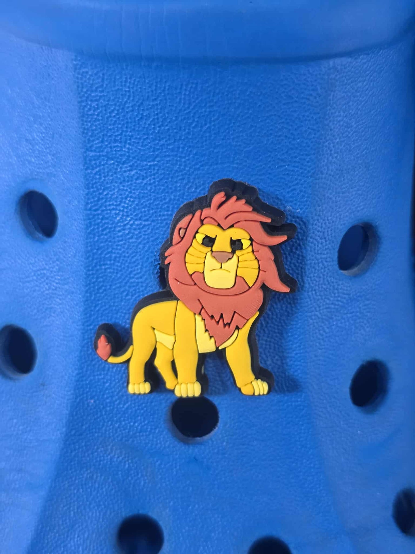 Lion King Themed Croc Charms