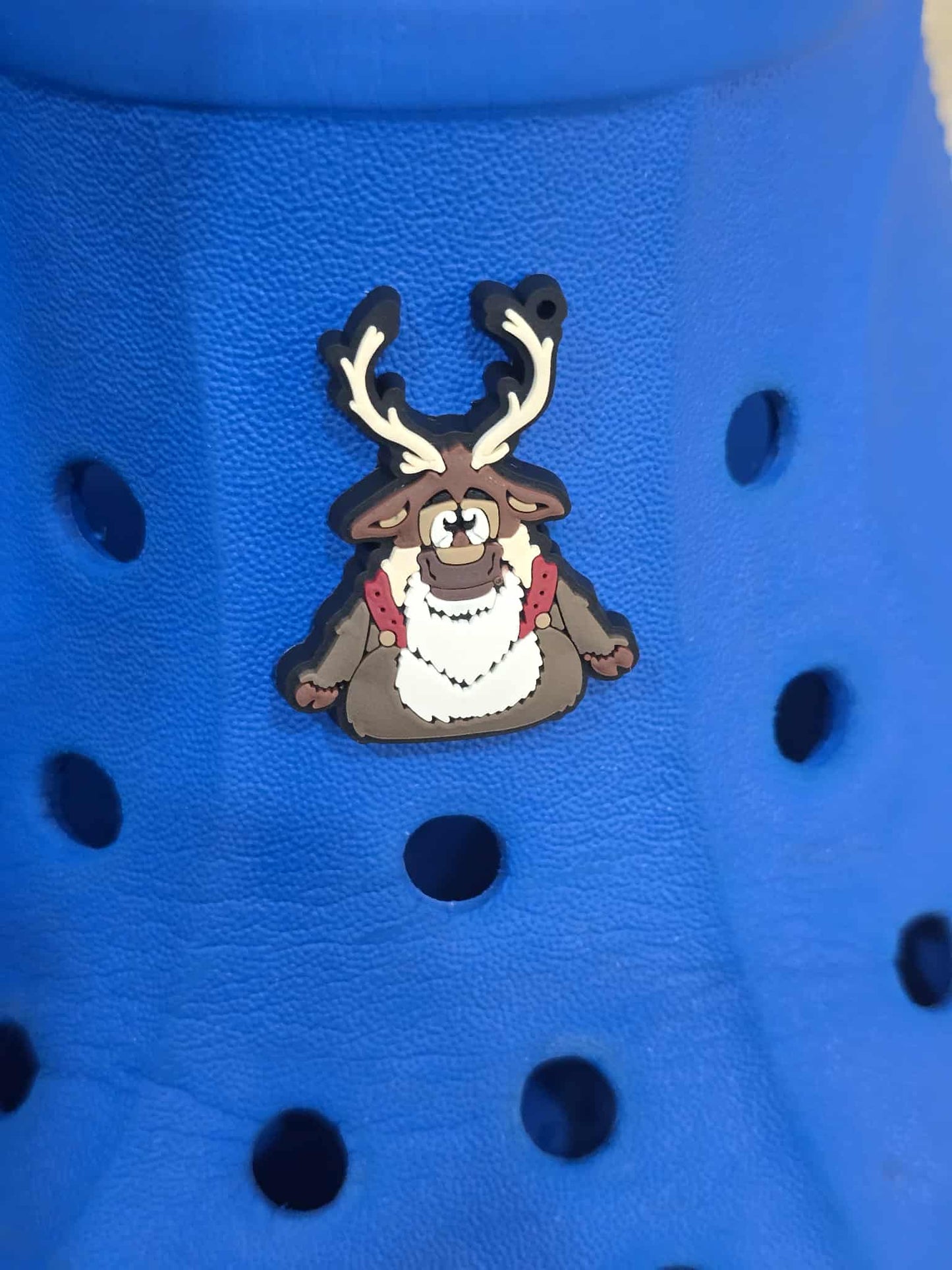 Frozen themed croc charms