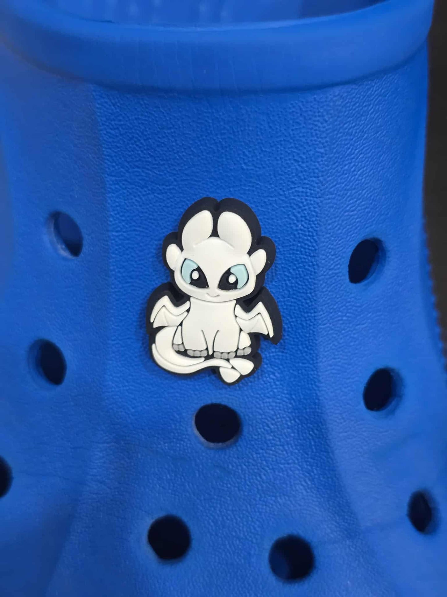 How to Train Your Dragon Croc Charms