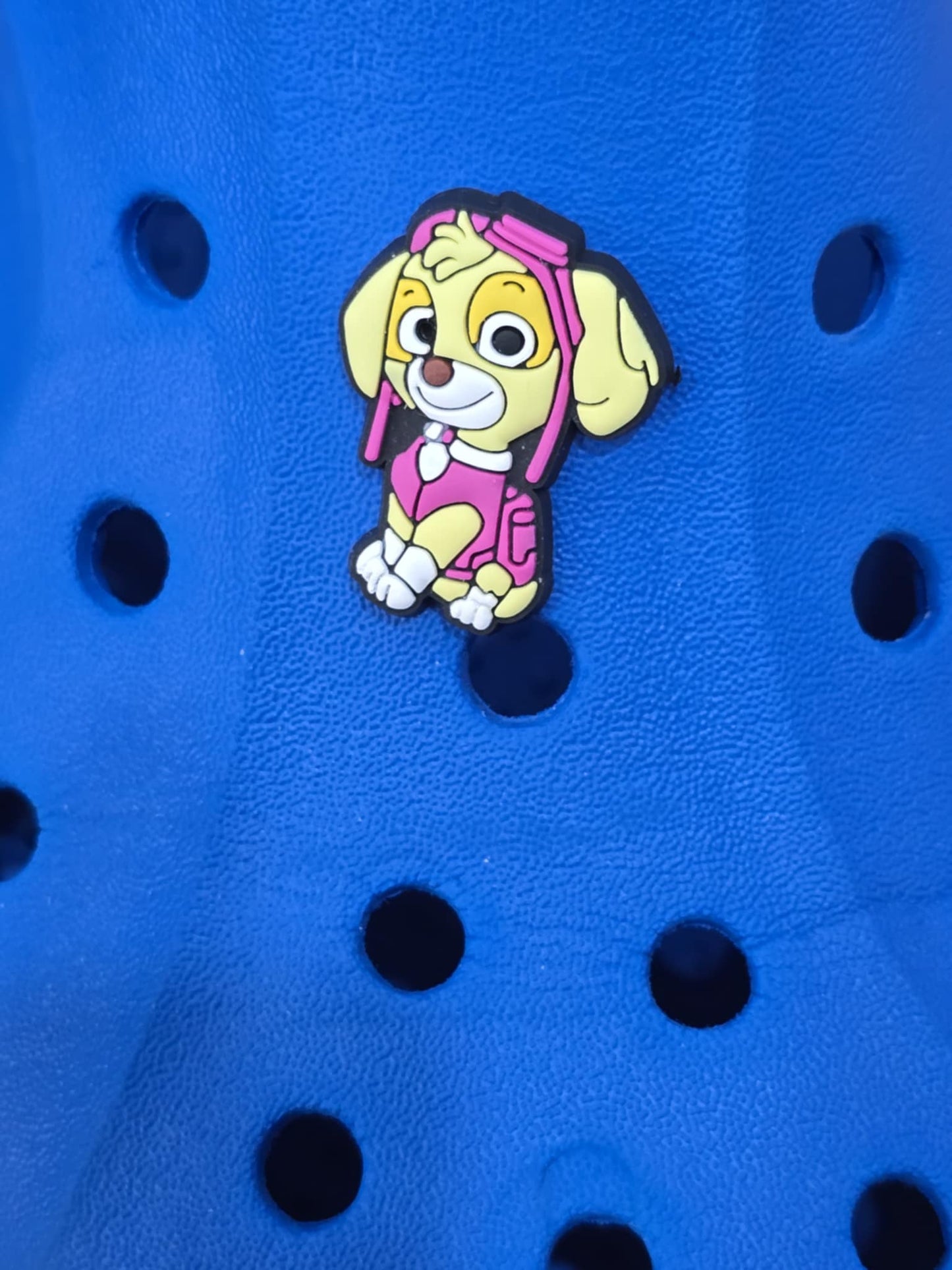 Paw Patrol Charms