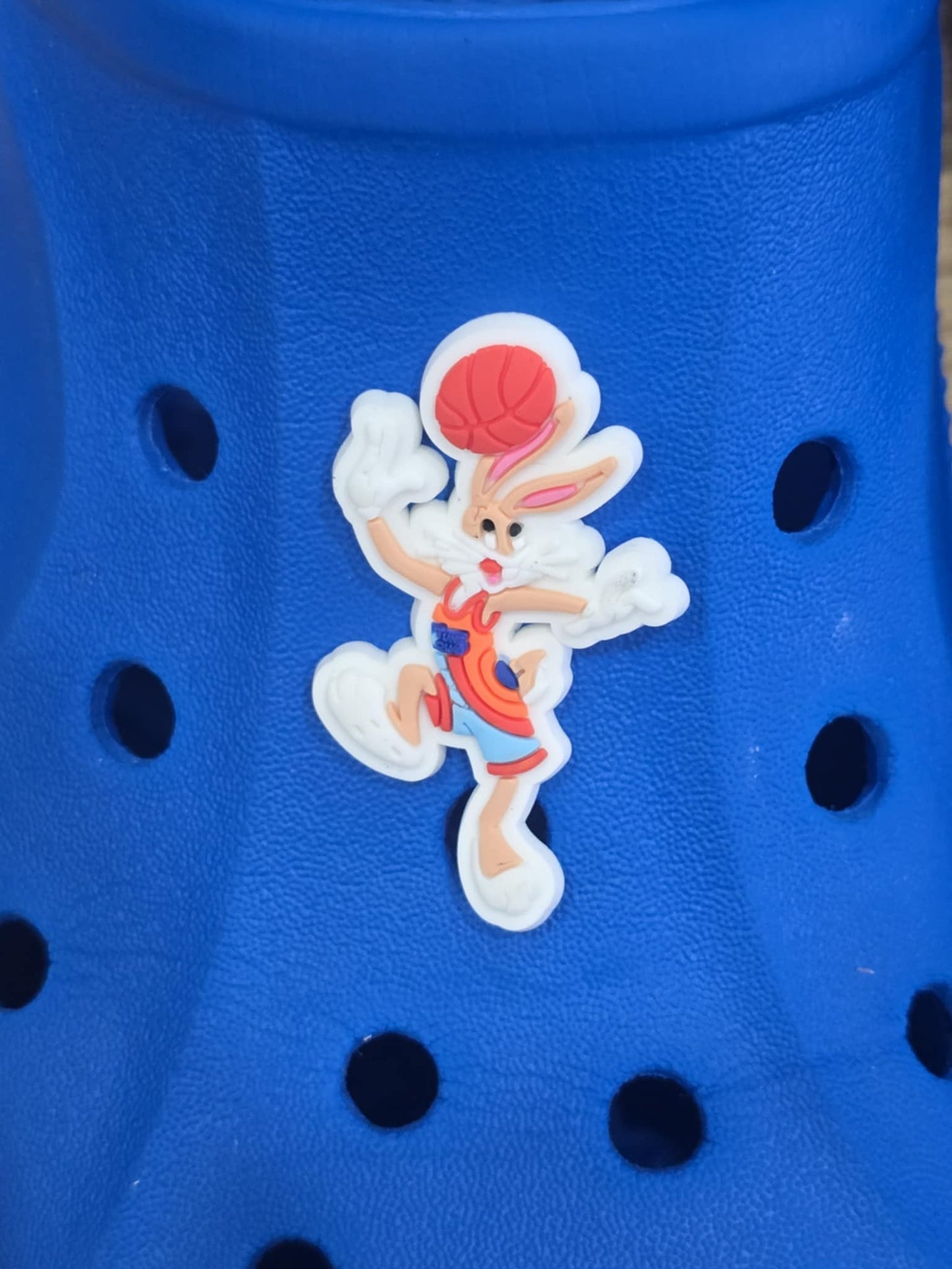 Space Jam Themed Croc Charms