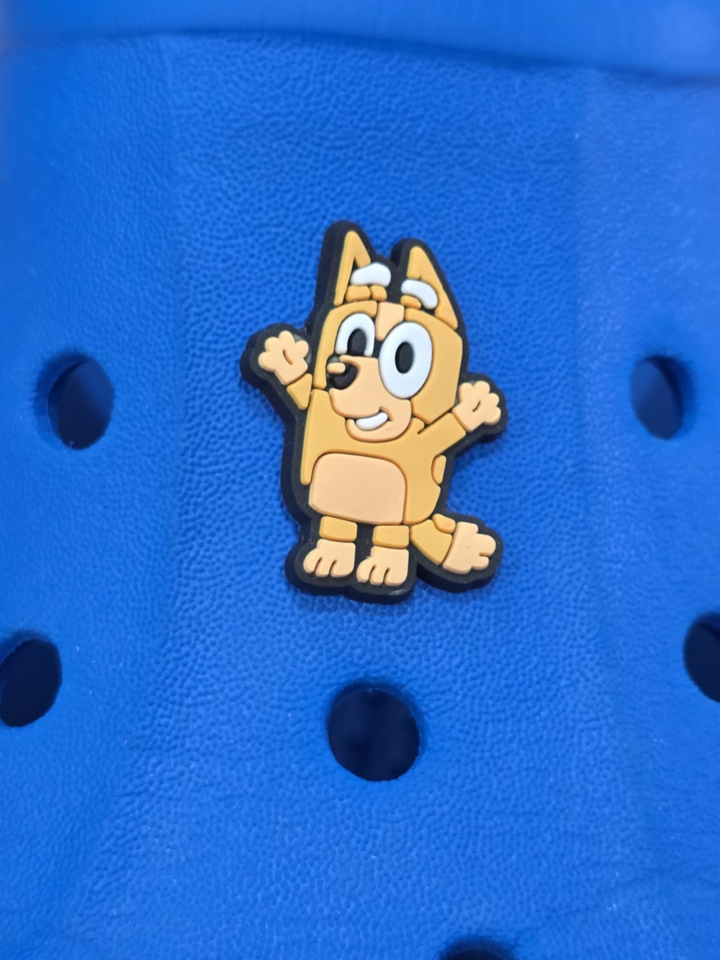 Bluey and Friends Charms
