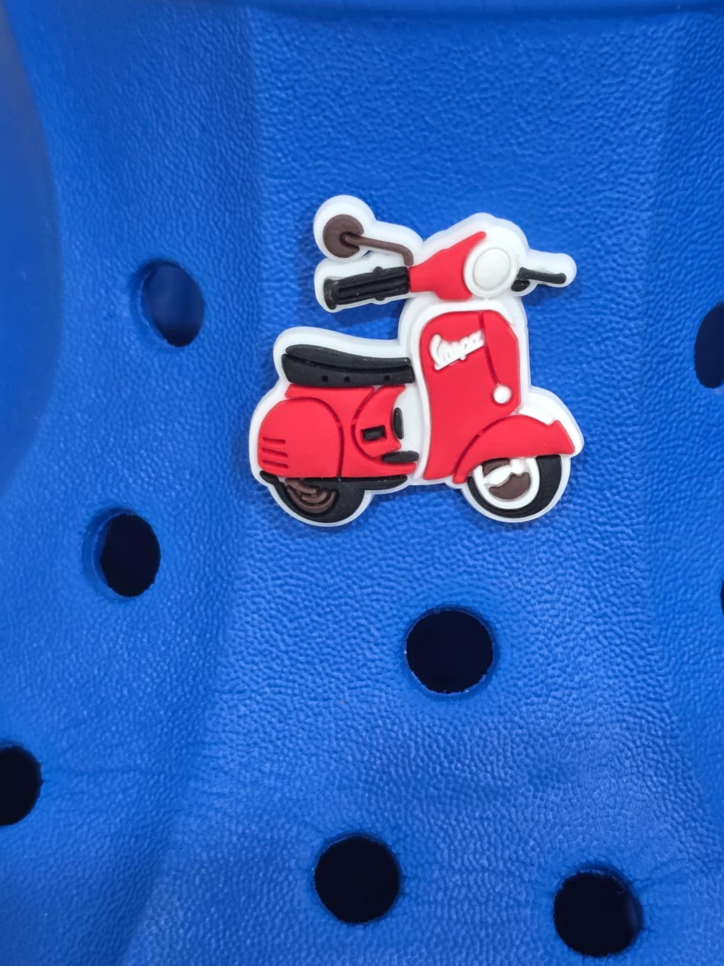 "Luca" Croc Charms