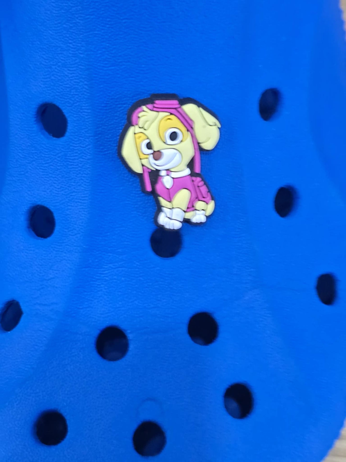 Paw Patrol Charms