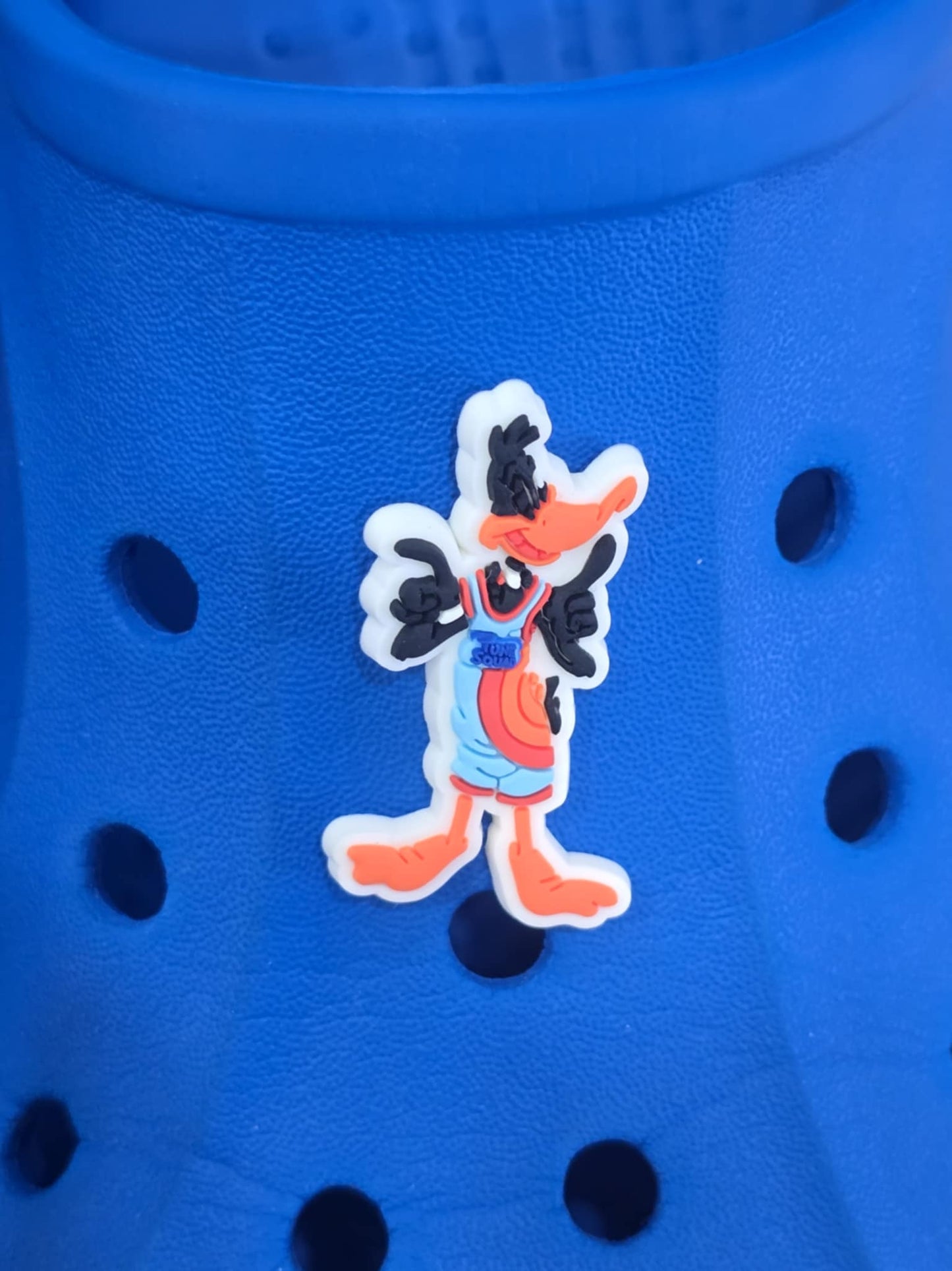 Space Jam Themed Croc Charms