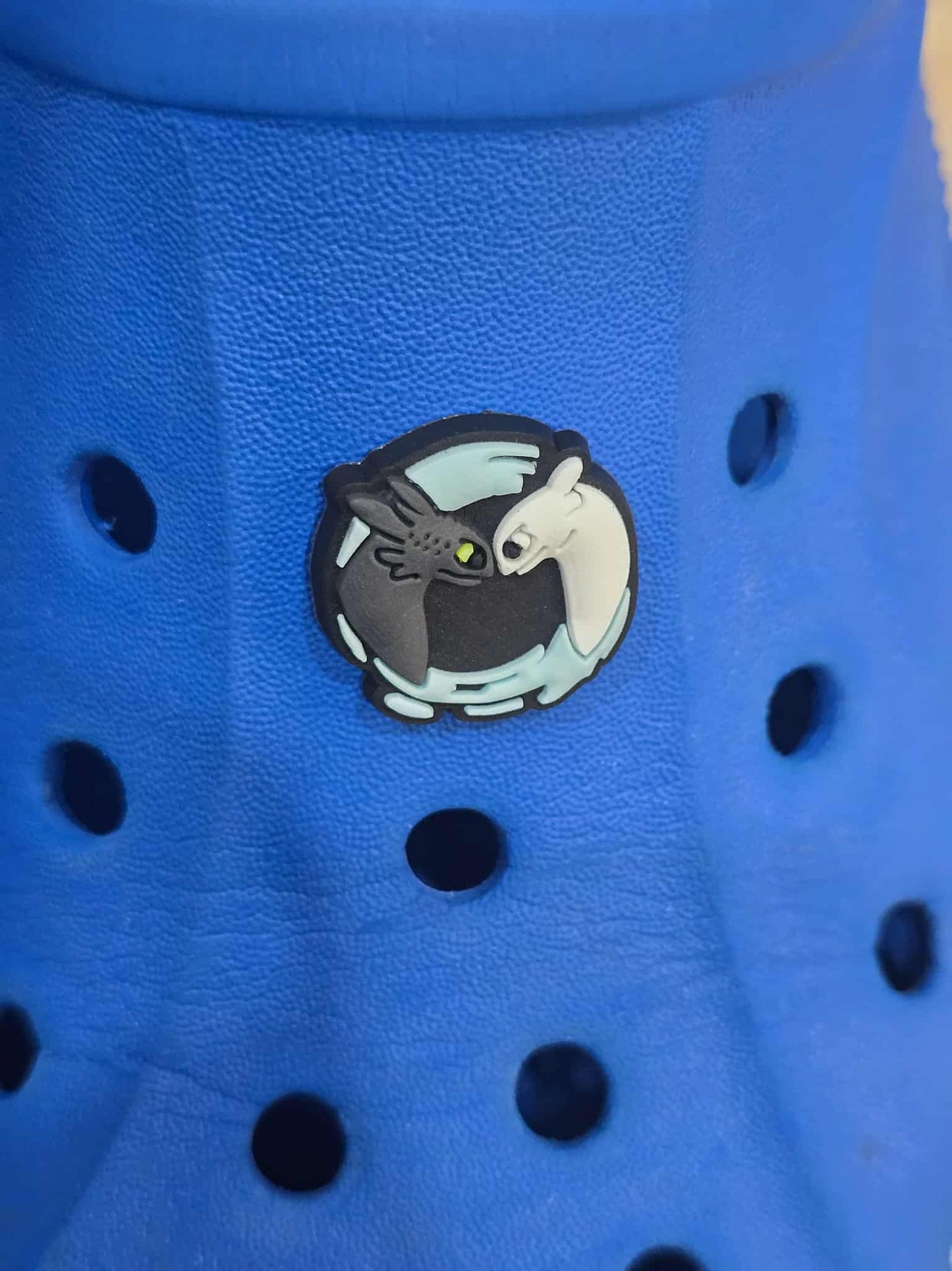 How to Train Your Dragon Croc Charms