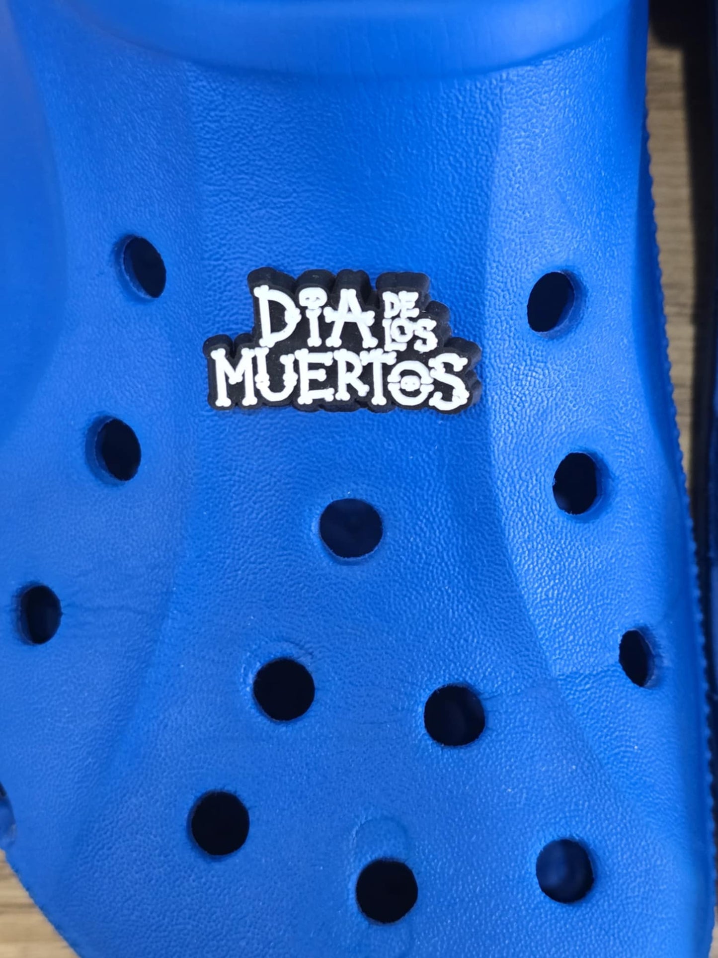 Day of the Dead Charms