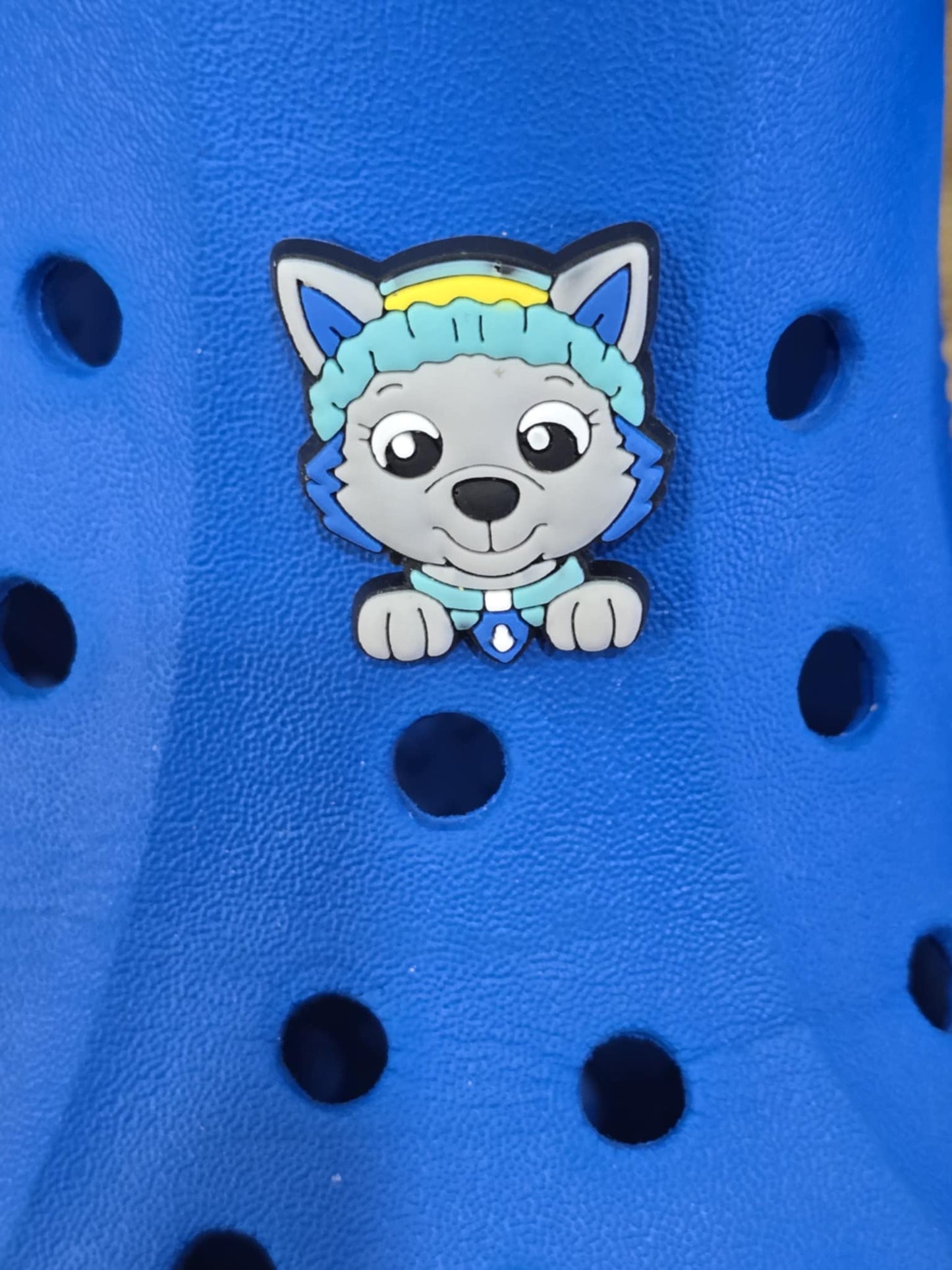 Paw Patrol Charms