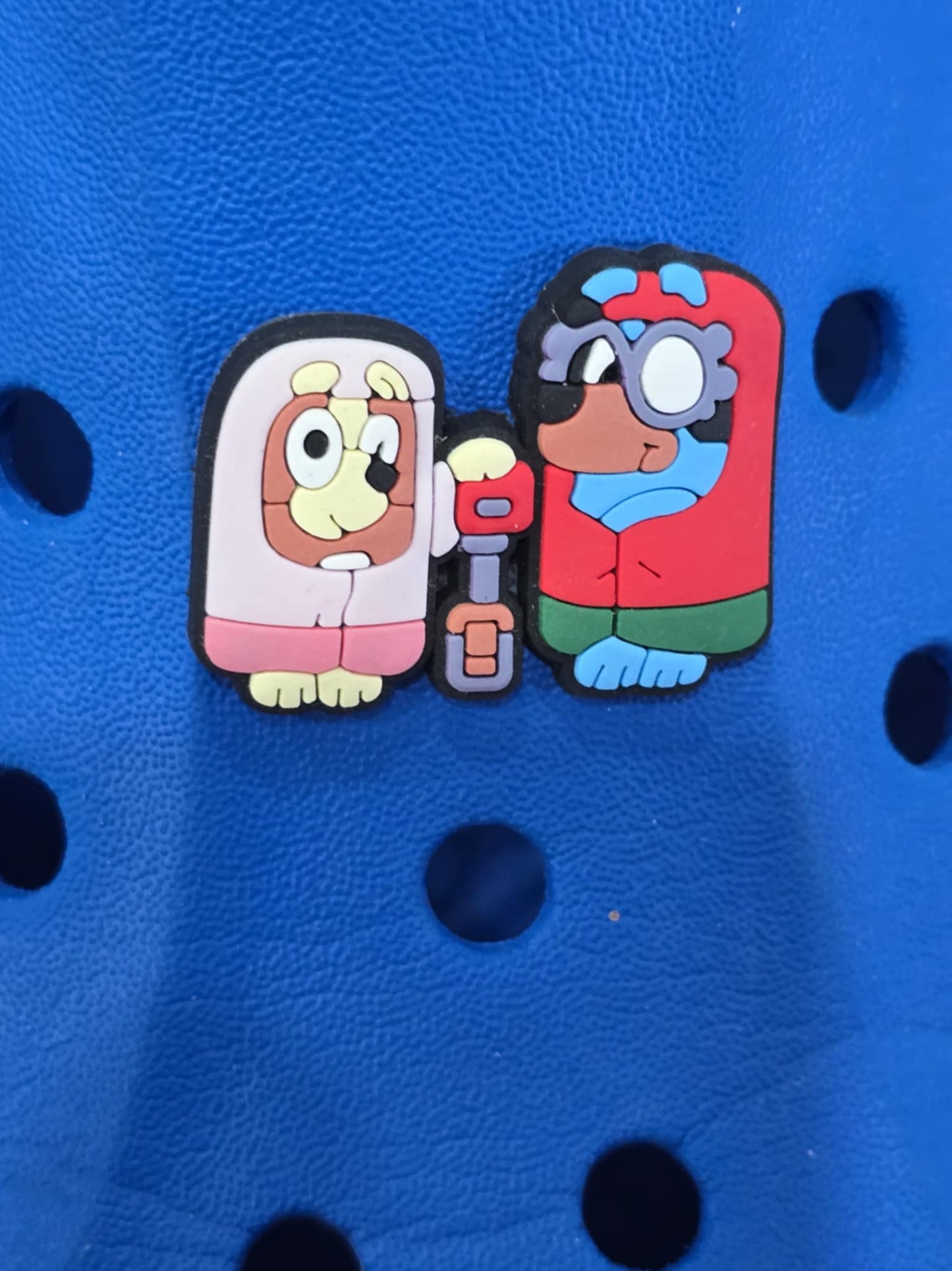 Bluey and Friends Charms