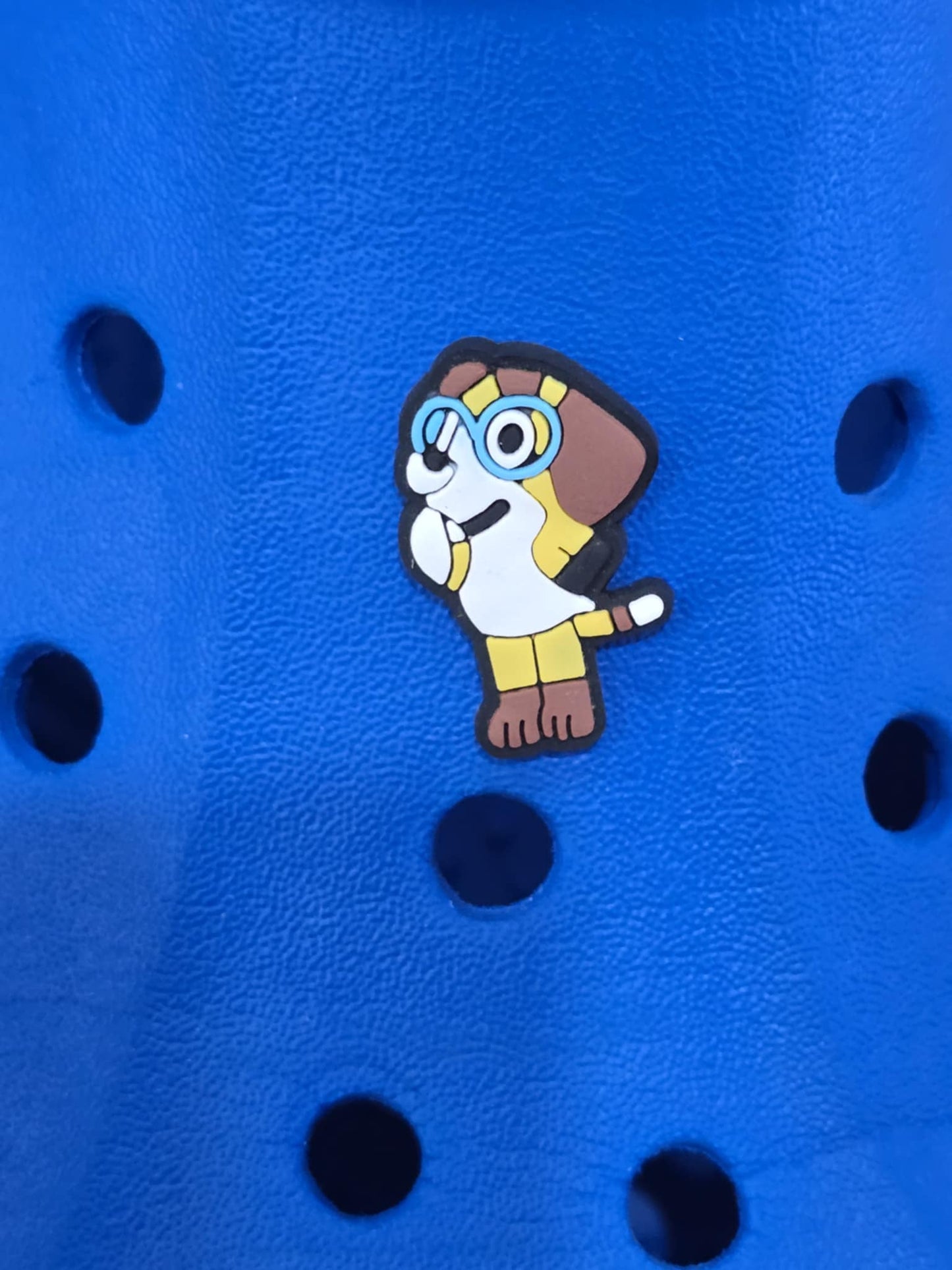 Bluey and Friends Charms