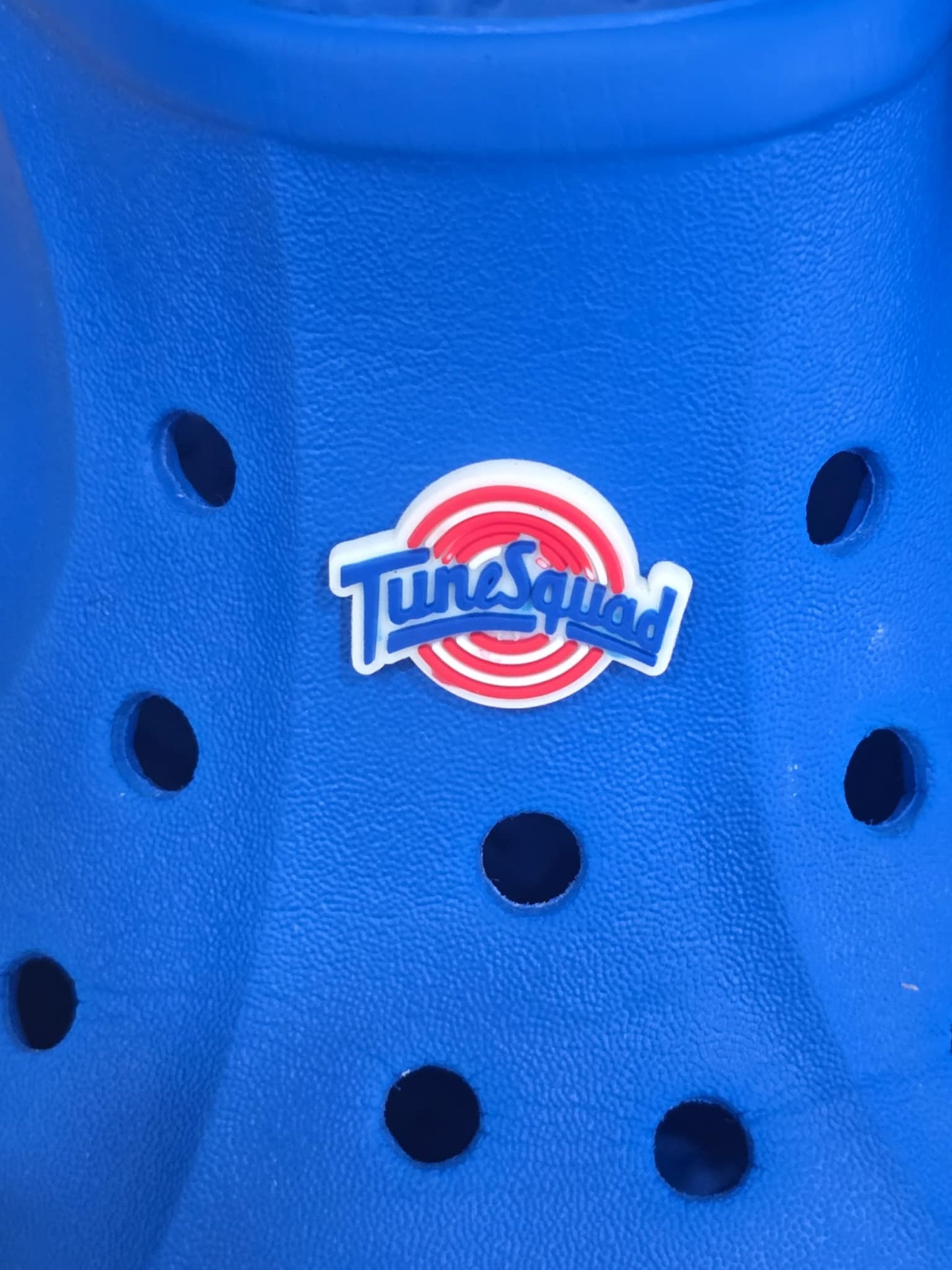 Space Jam Themed Croc Charms