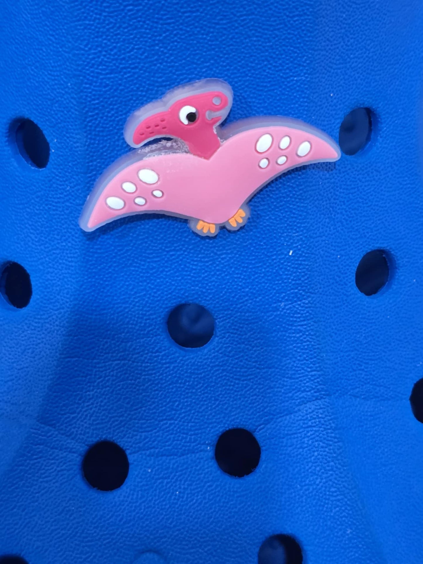 Dinosaurs Charms