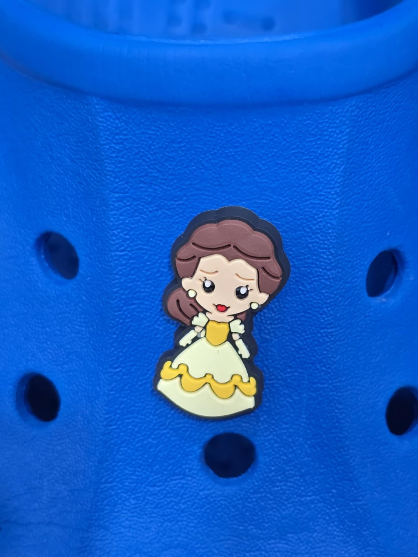 Disney Princess Charms
