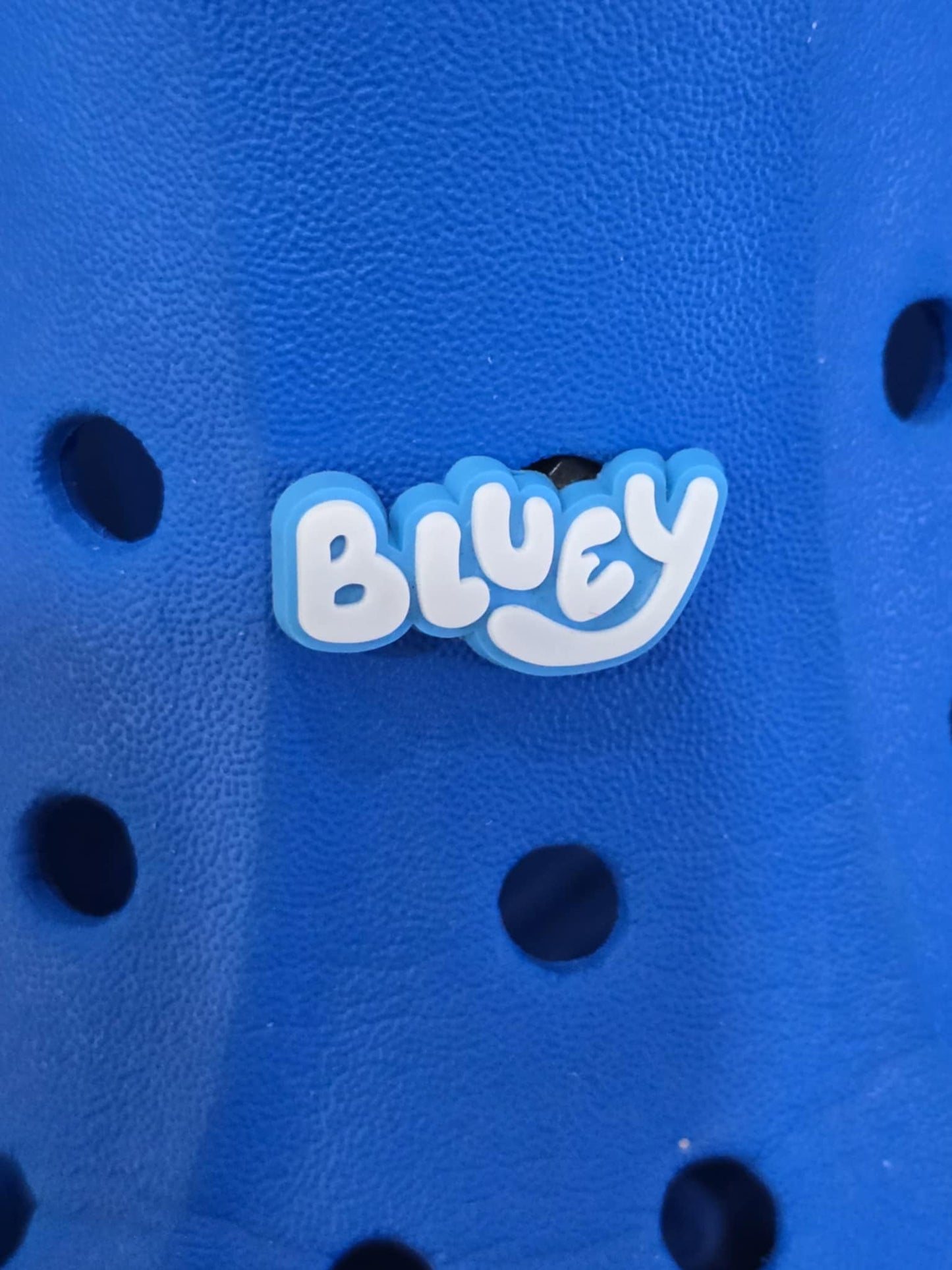 Bluey and Friends Charms