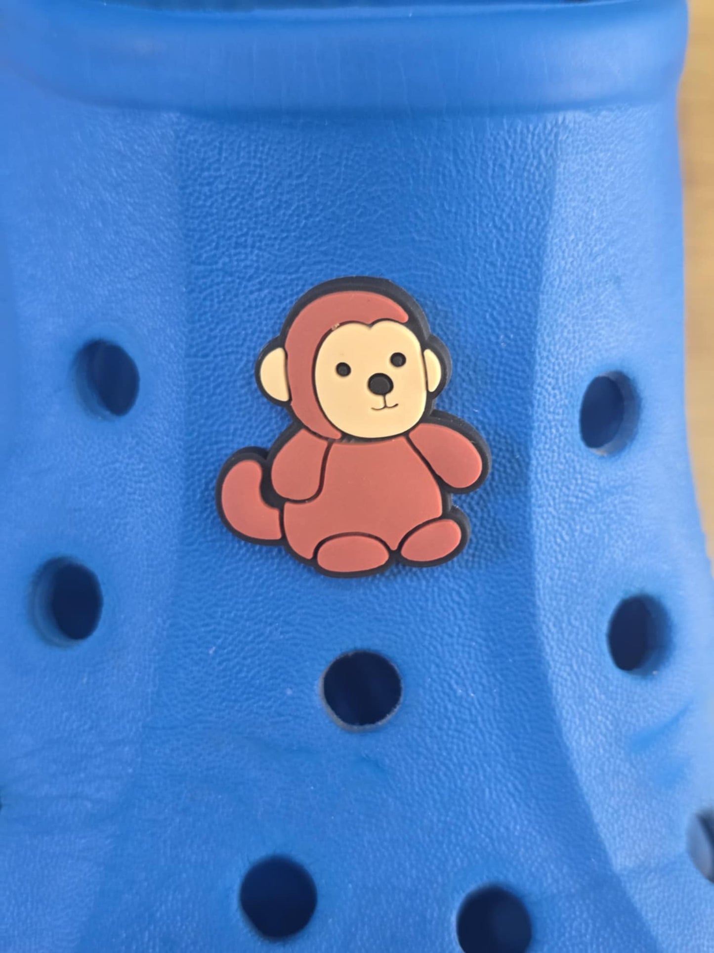 Jelly Croc Charms, Shoe Decorations, Shoe Charms