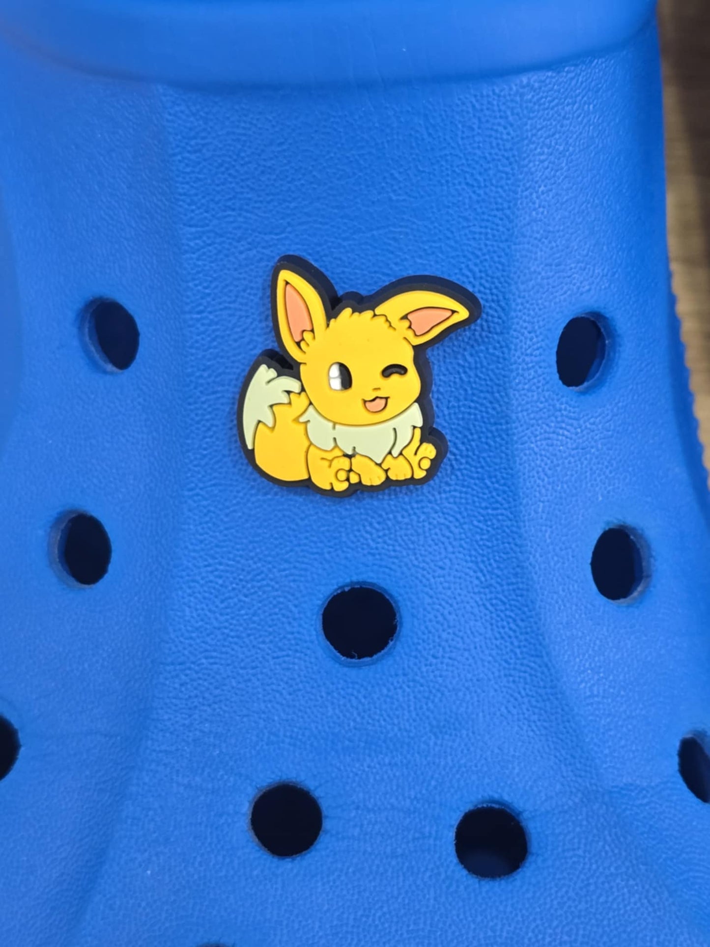 Pokémon Croc Charms