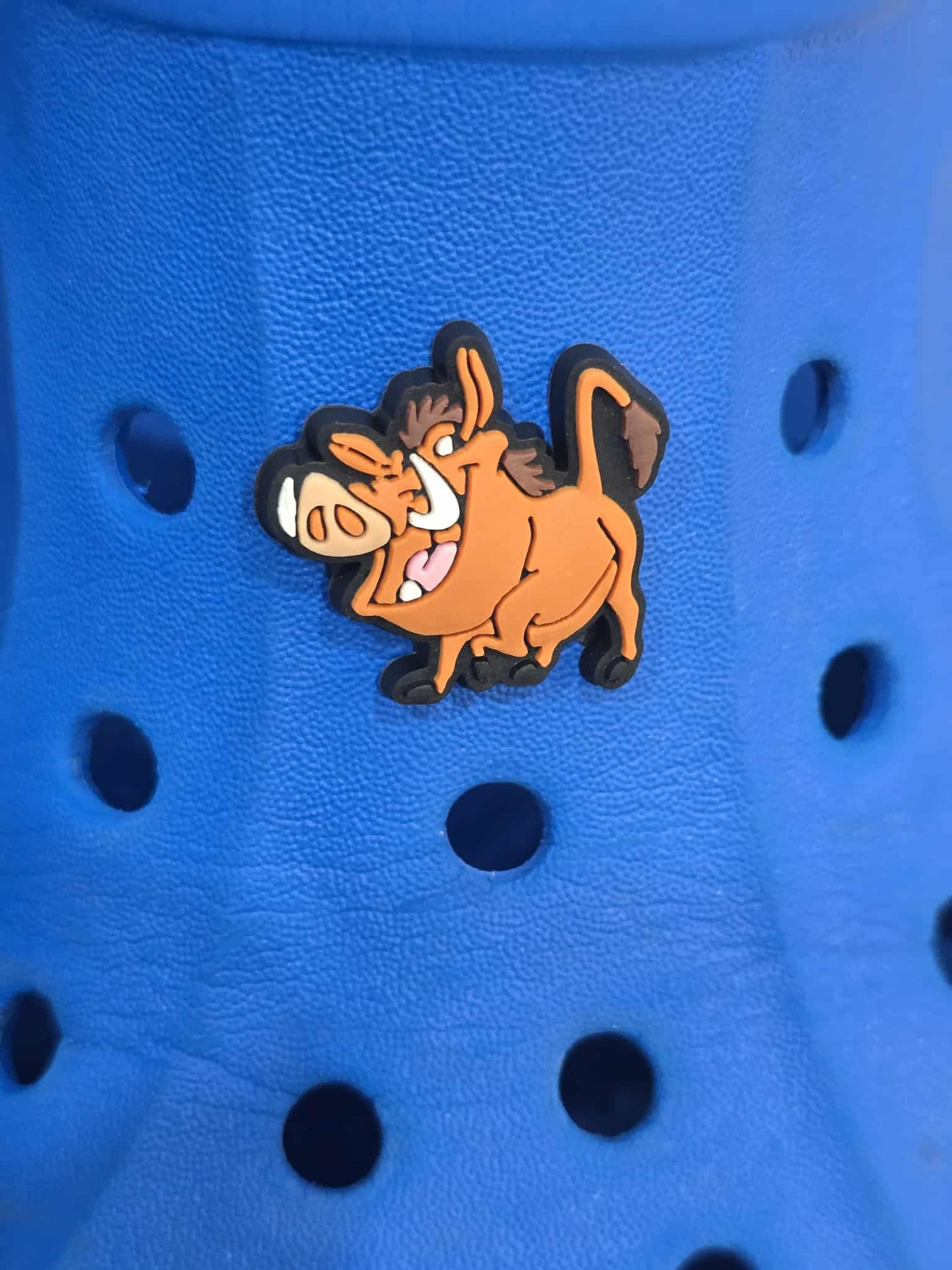 Lion King Themed Croc Charms