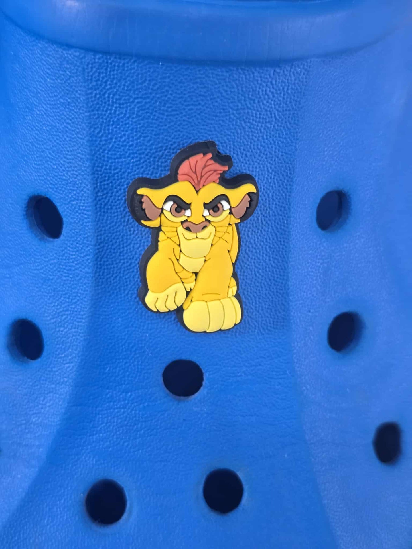 Lion King Themed Croc Charms