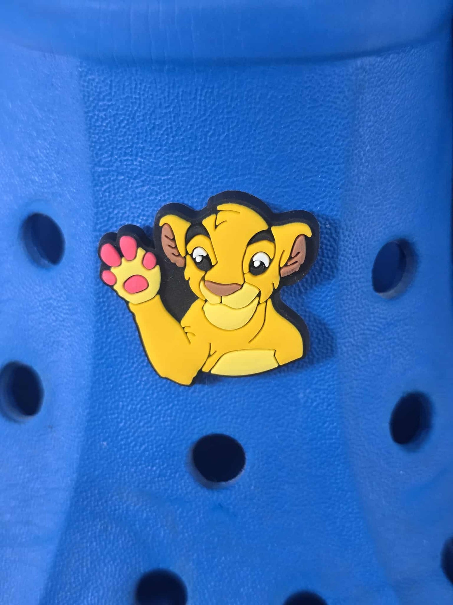 Lion King Themed Croc Charms