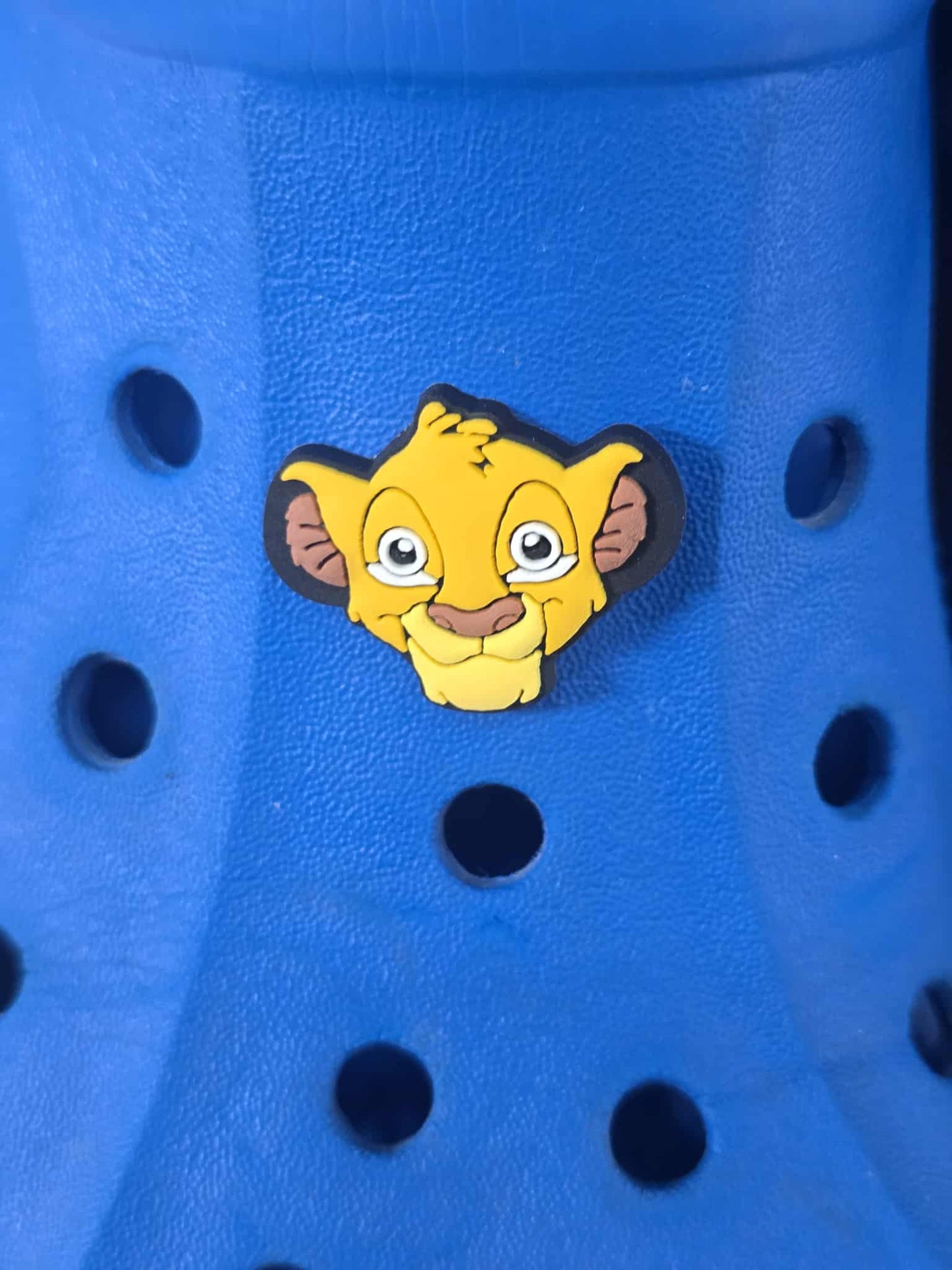 Lion King Themed Croc Charms