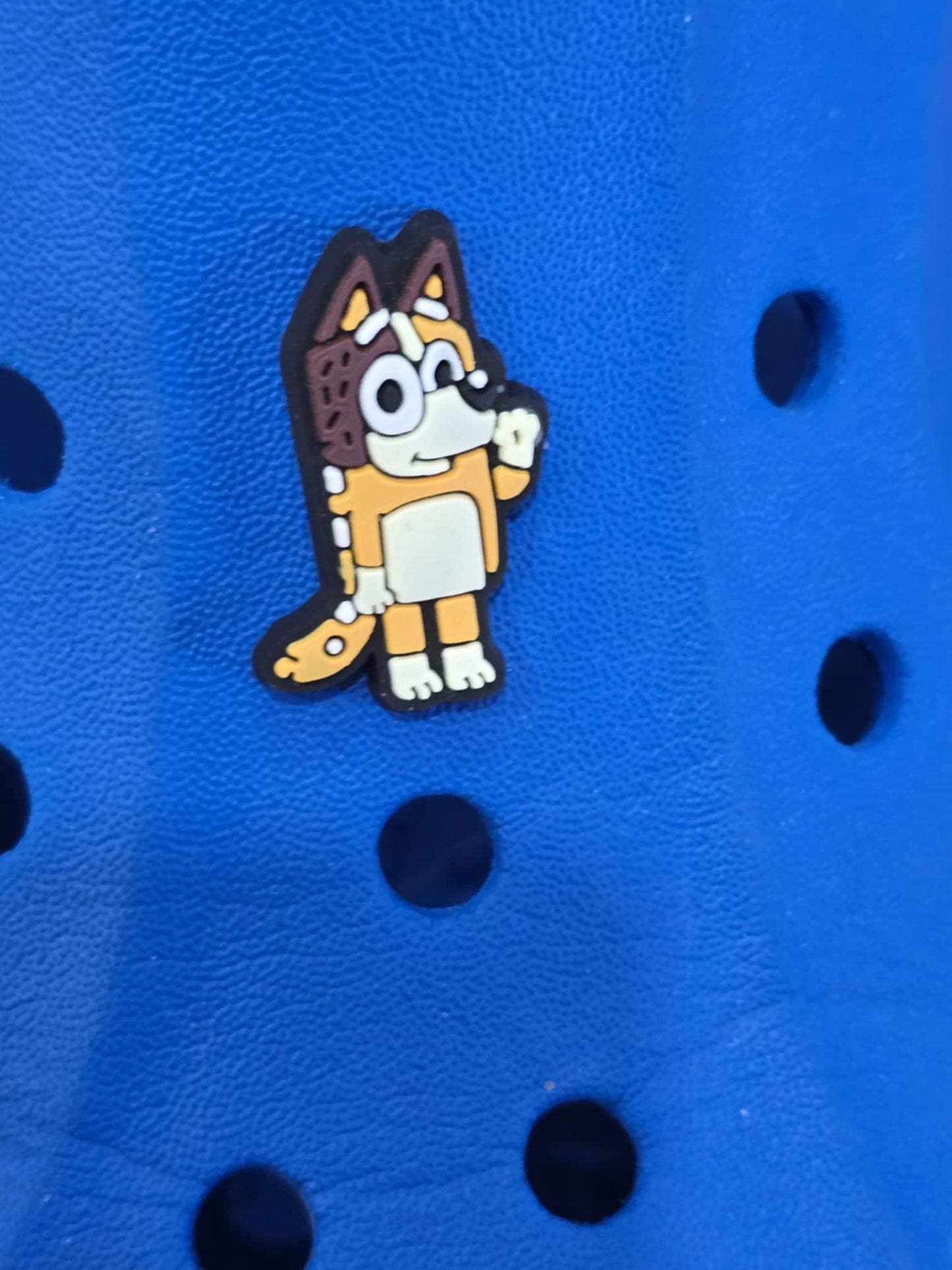 Bluey and Friends Charms