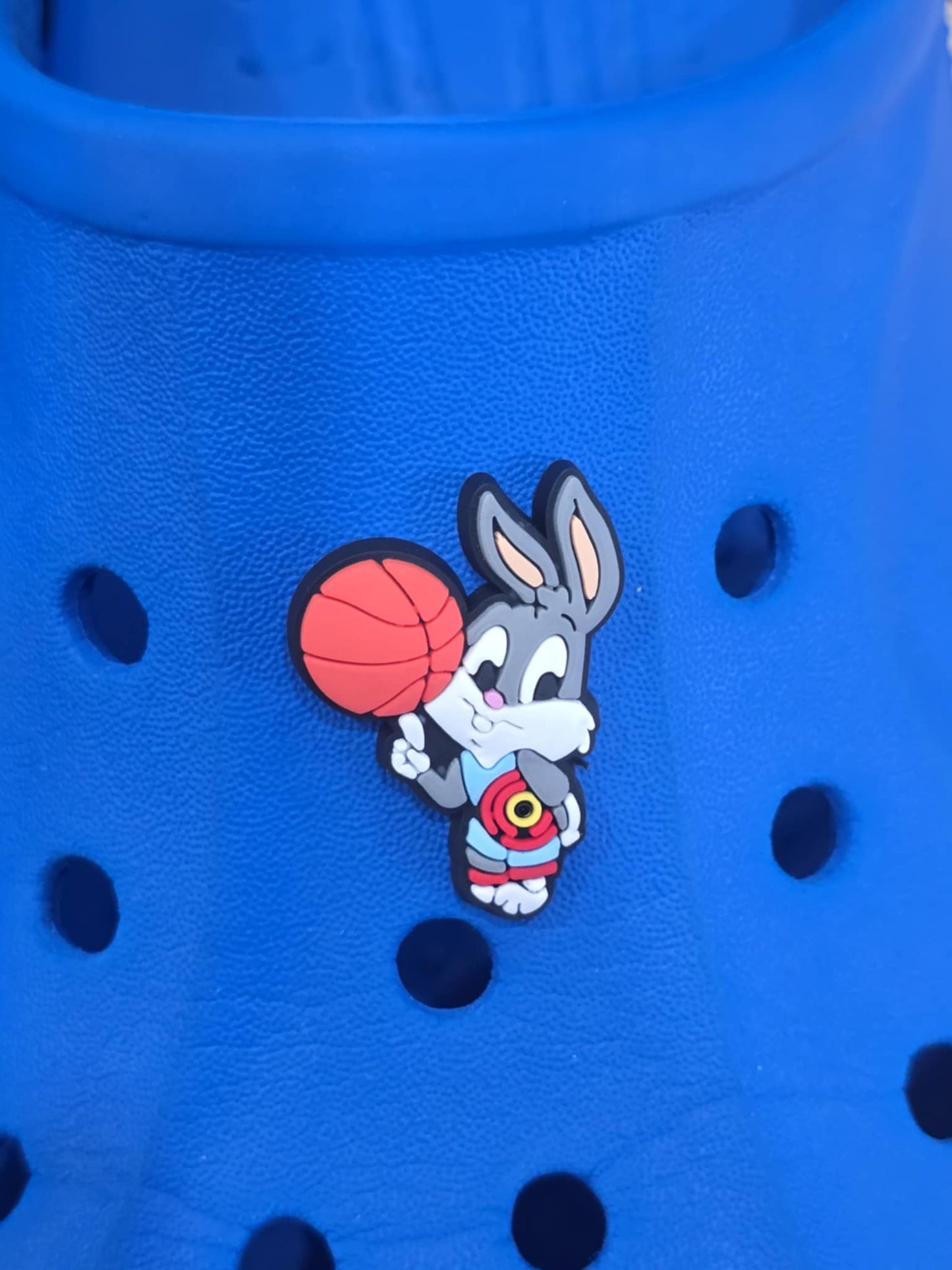 Space Jam Themed Croc Charms