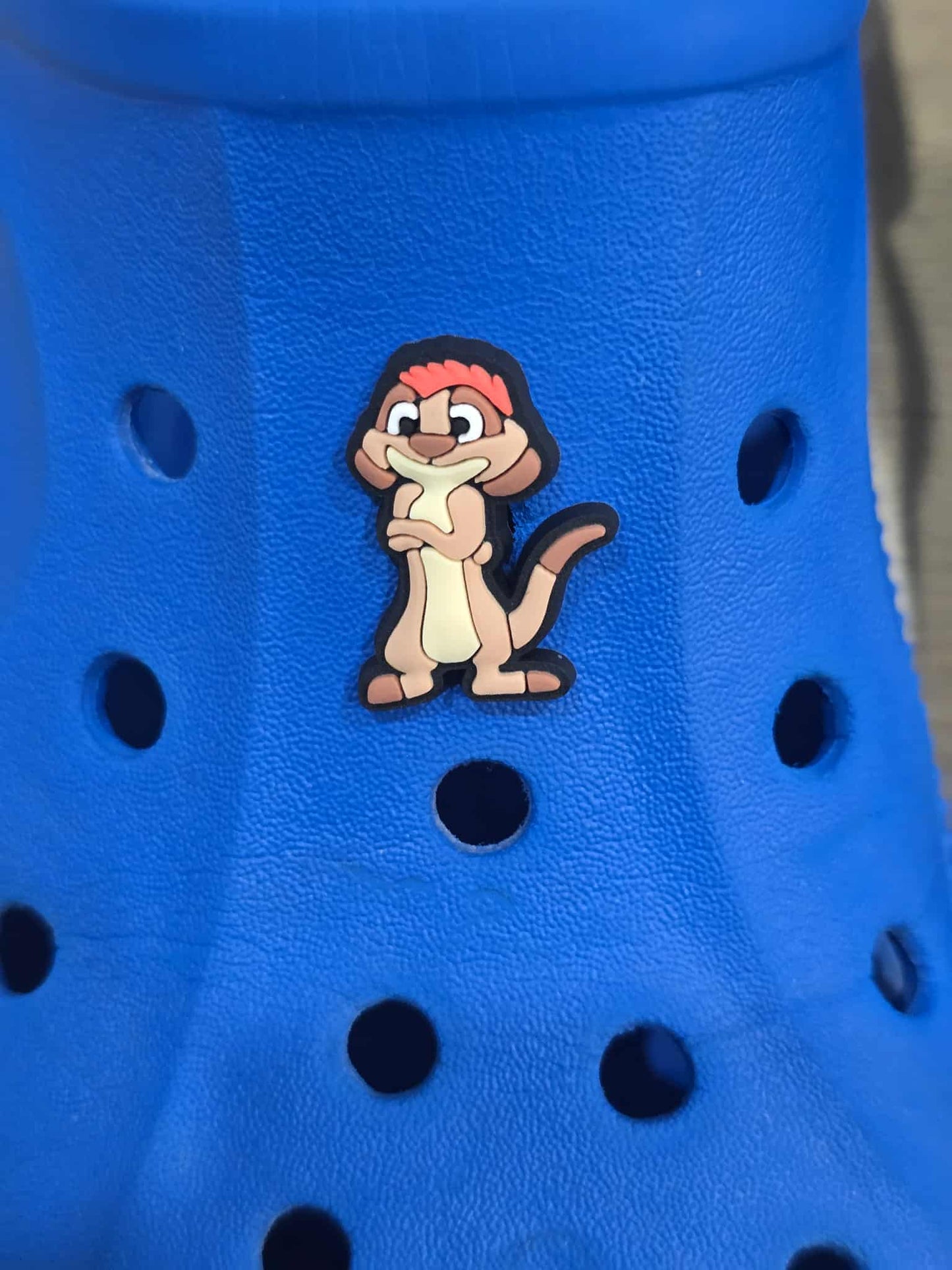Lion King Themed Croc Charms