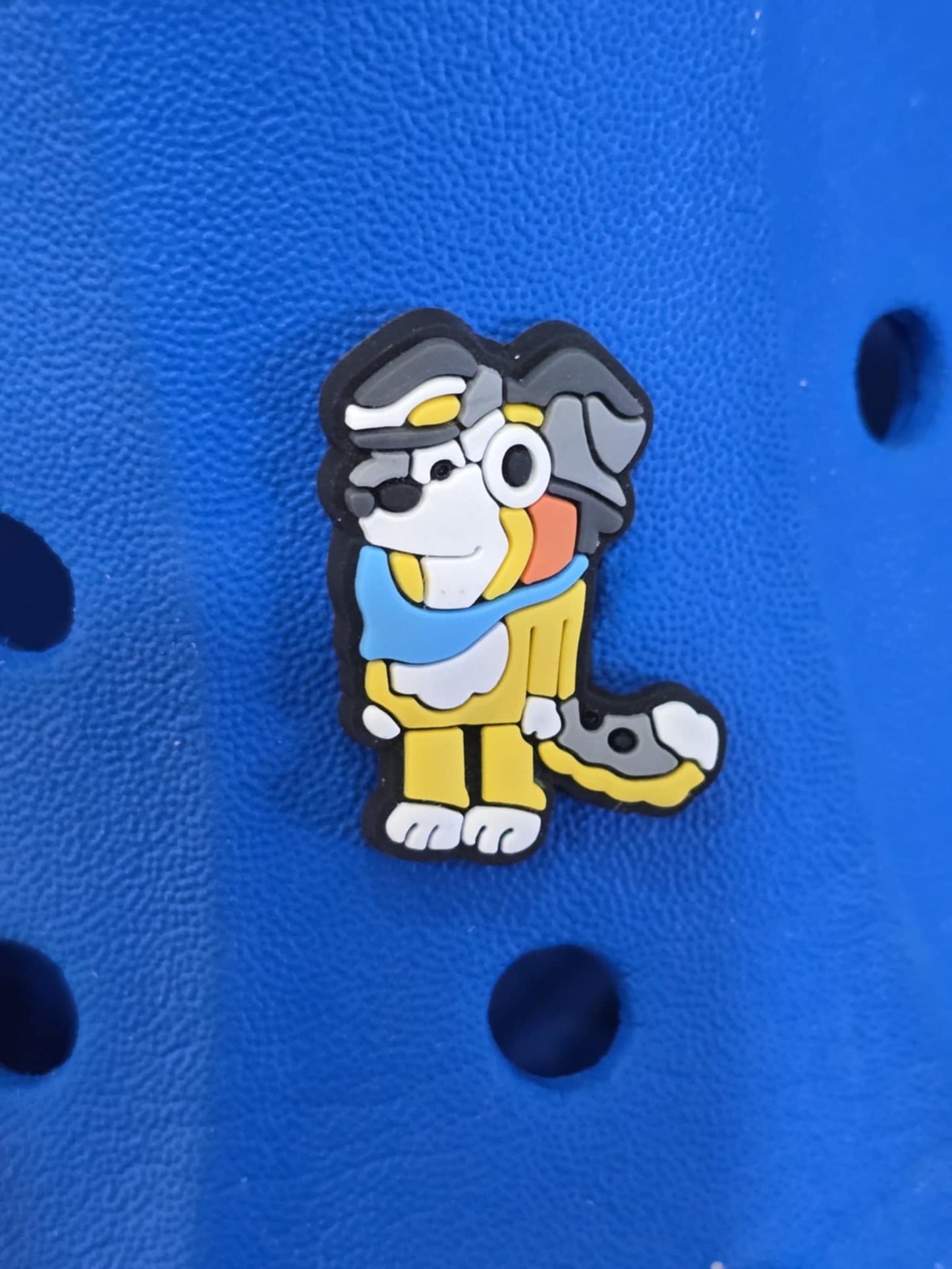 Bluey and Friends Charms