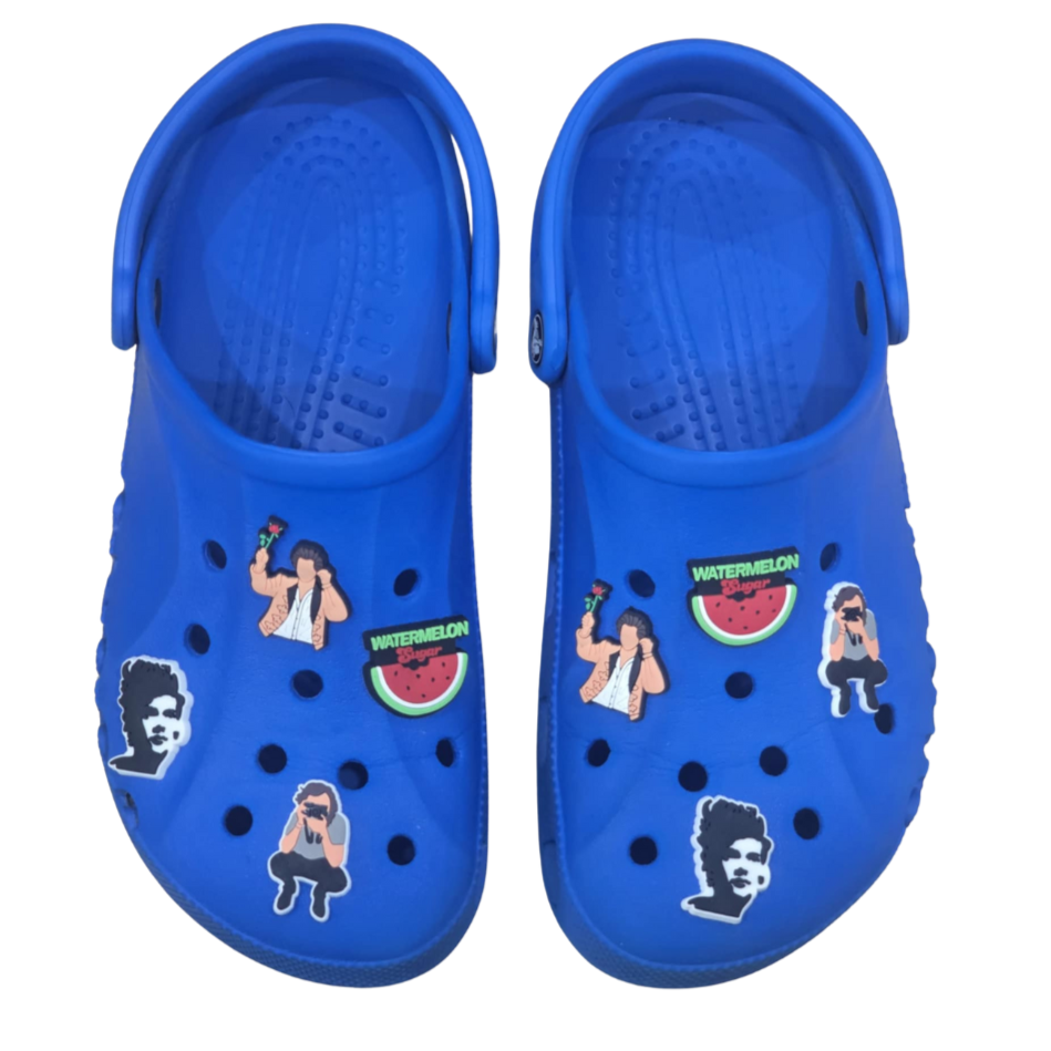 Harry Themed Croc Charms Shoe Decoration