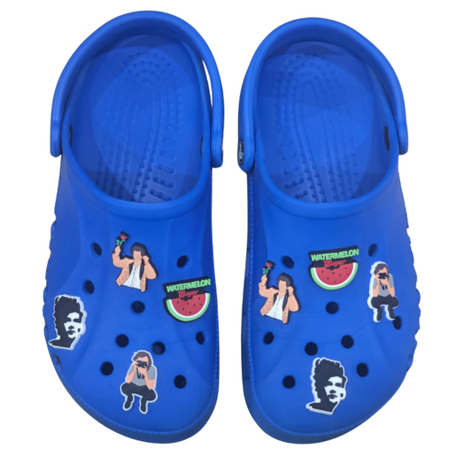 Harry Themed Croc Charms Shoe Decoration