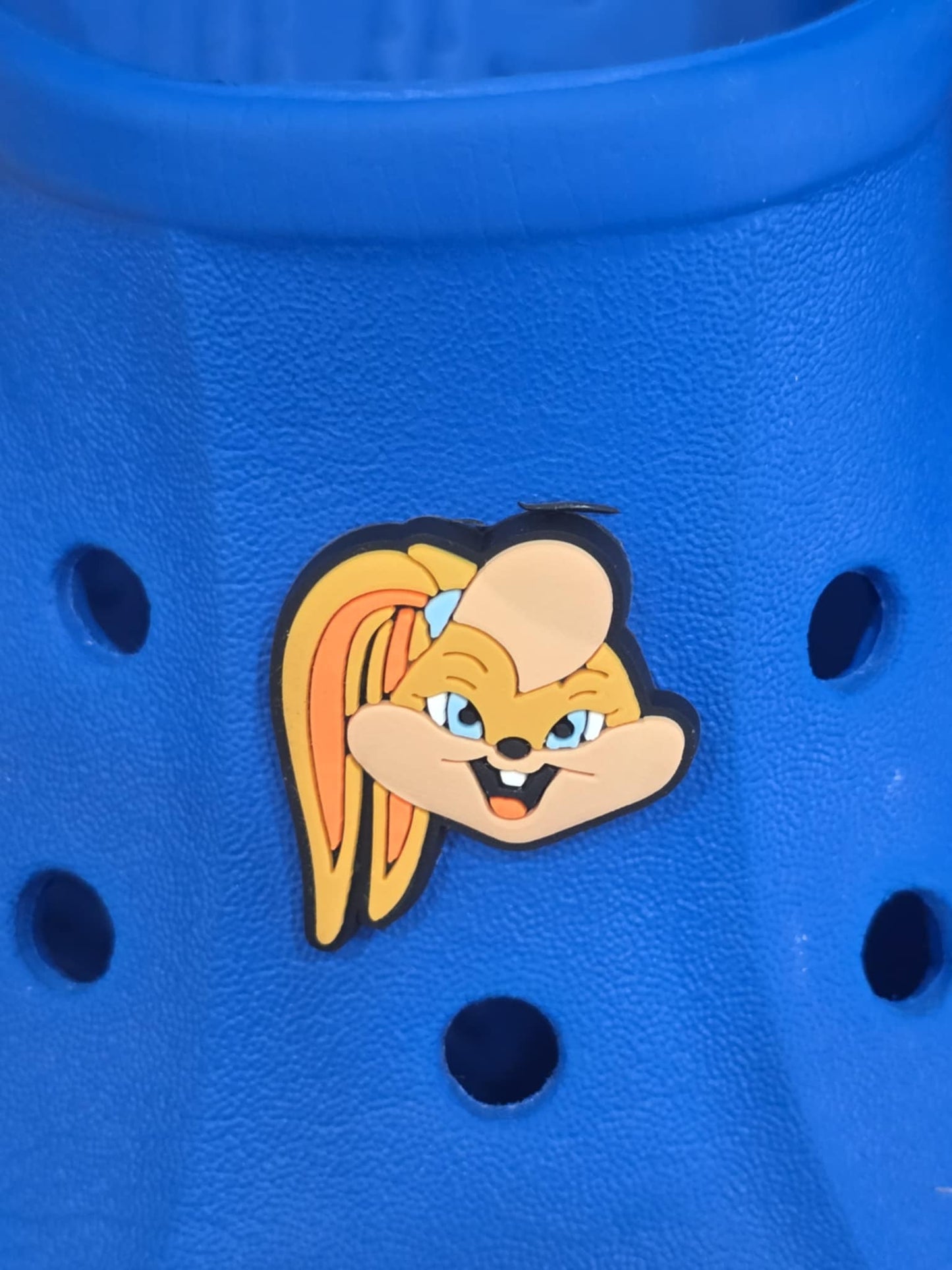 Space Jam Themed Croc Charms