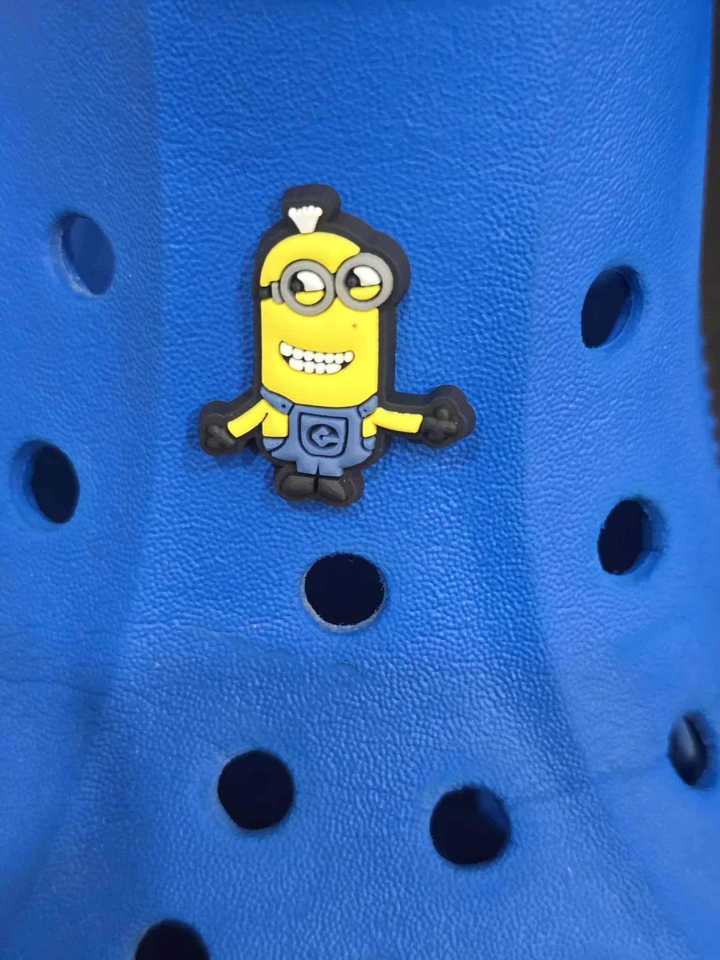 Minion Croc Charms