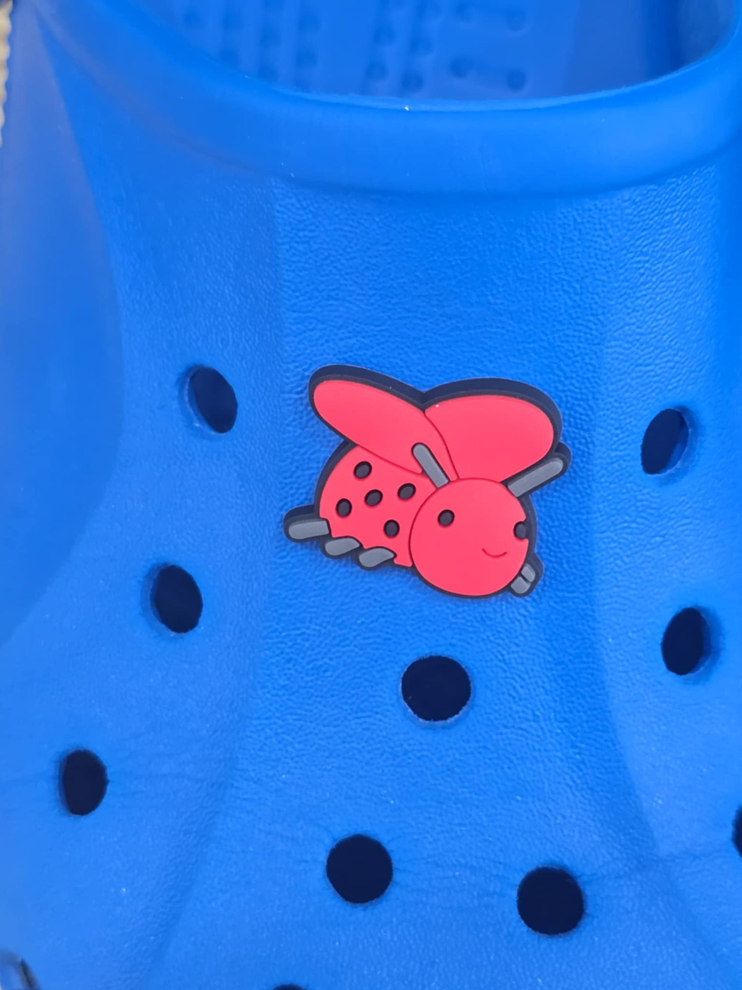 Jelly Croc Charms, Shoe Decorations, Shoe Charms