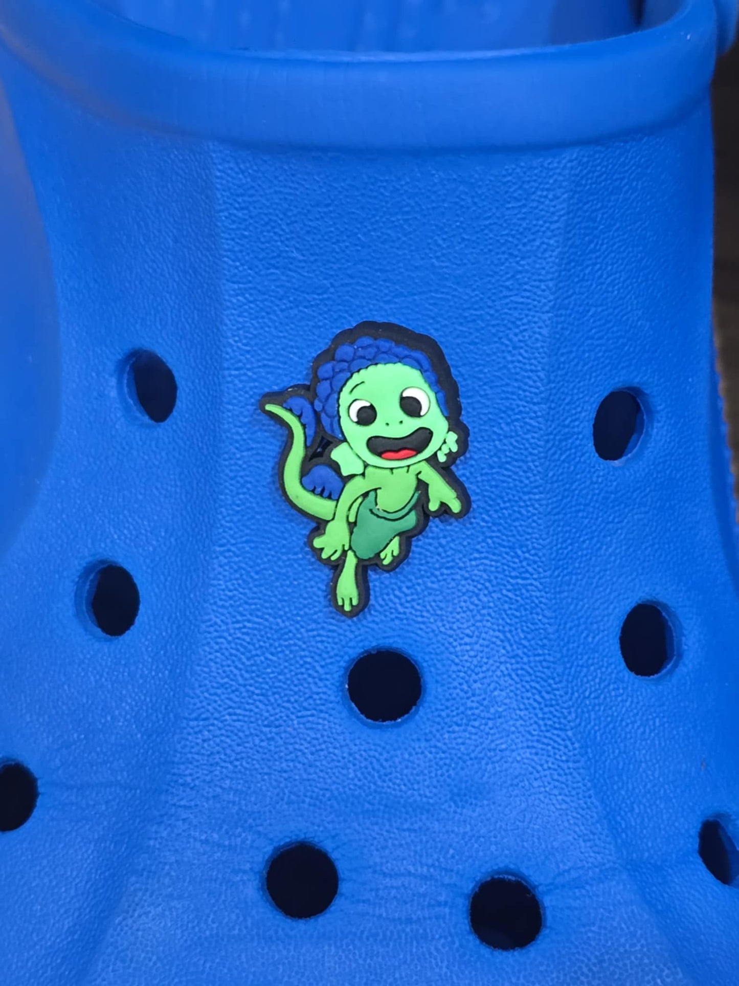 "Luca" Croc Charms