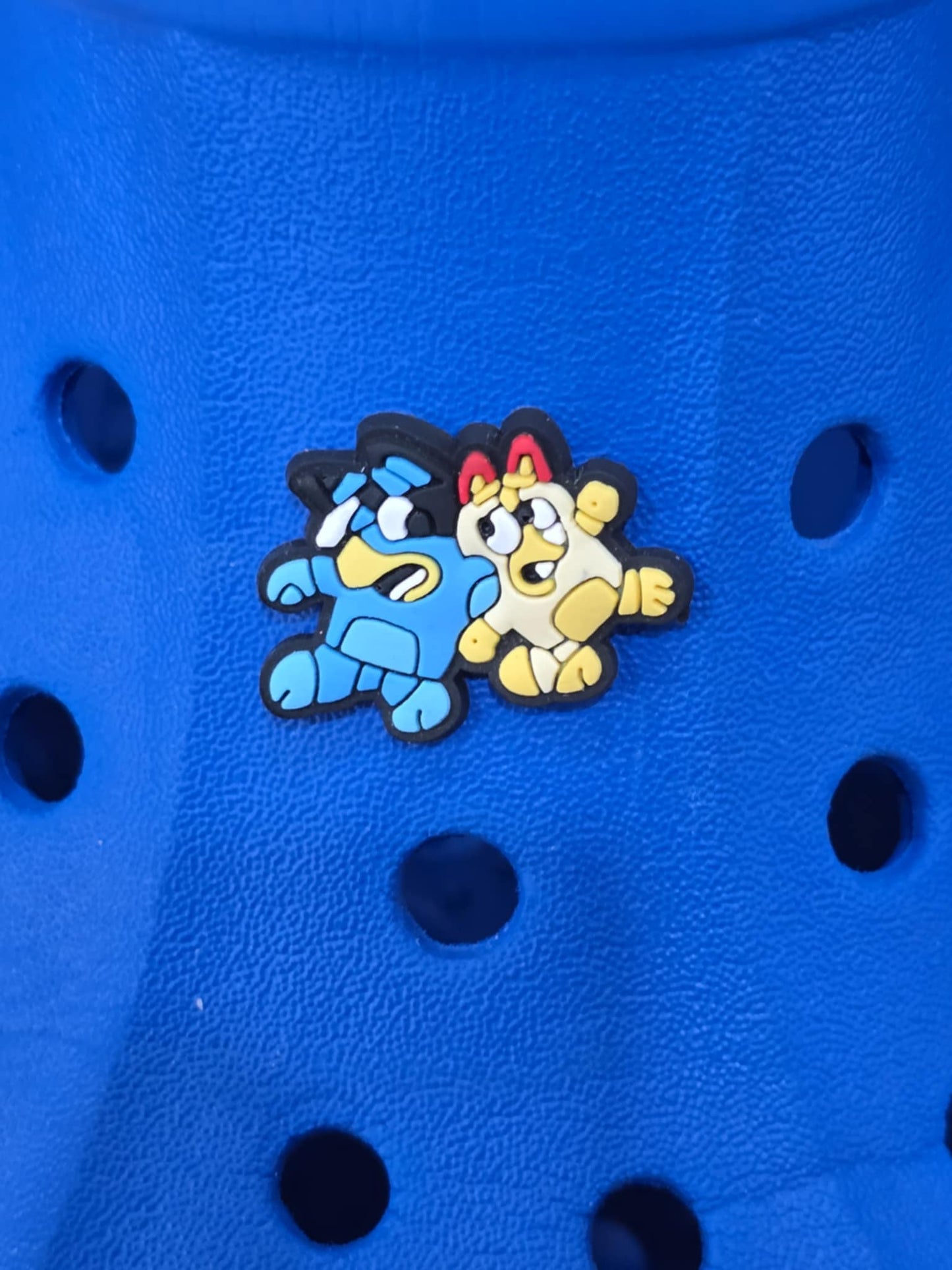Bluey and Friends Charms