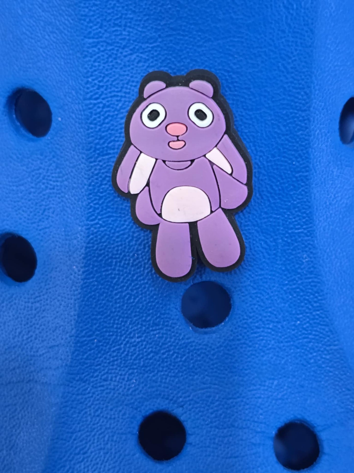 Bluey and Friends Charms