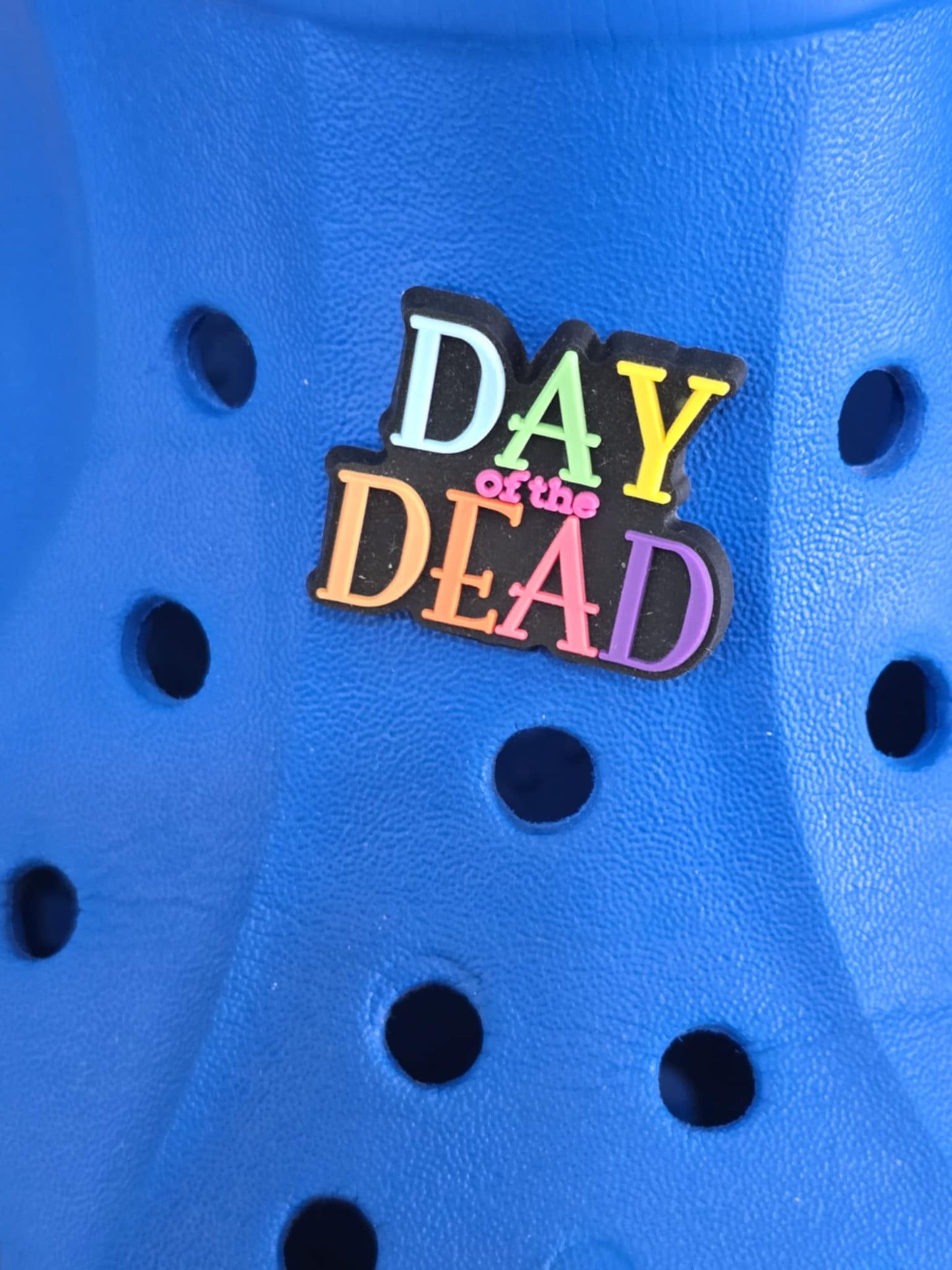 Day of the Dead Charms