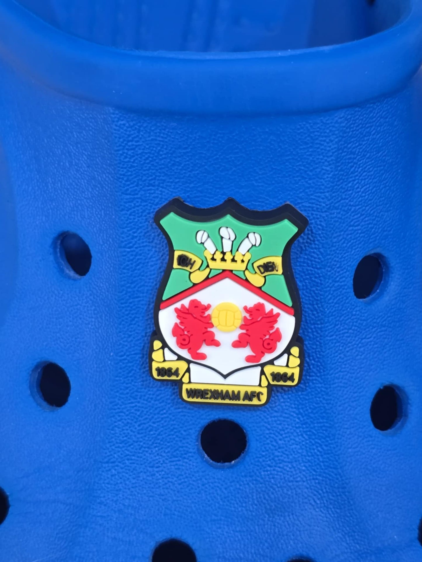 Football Badge Themed Croc Charms.