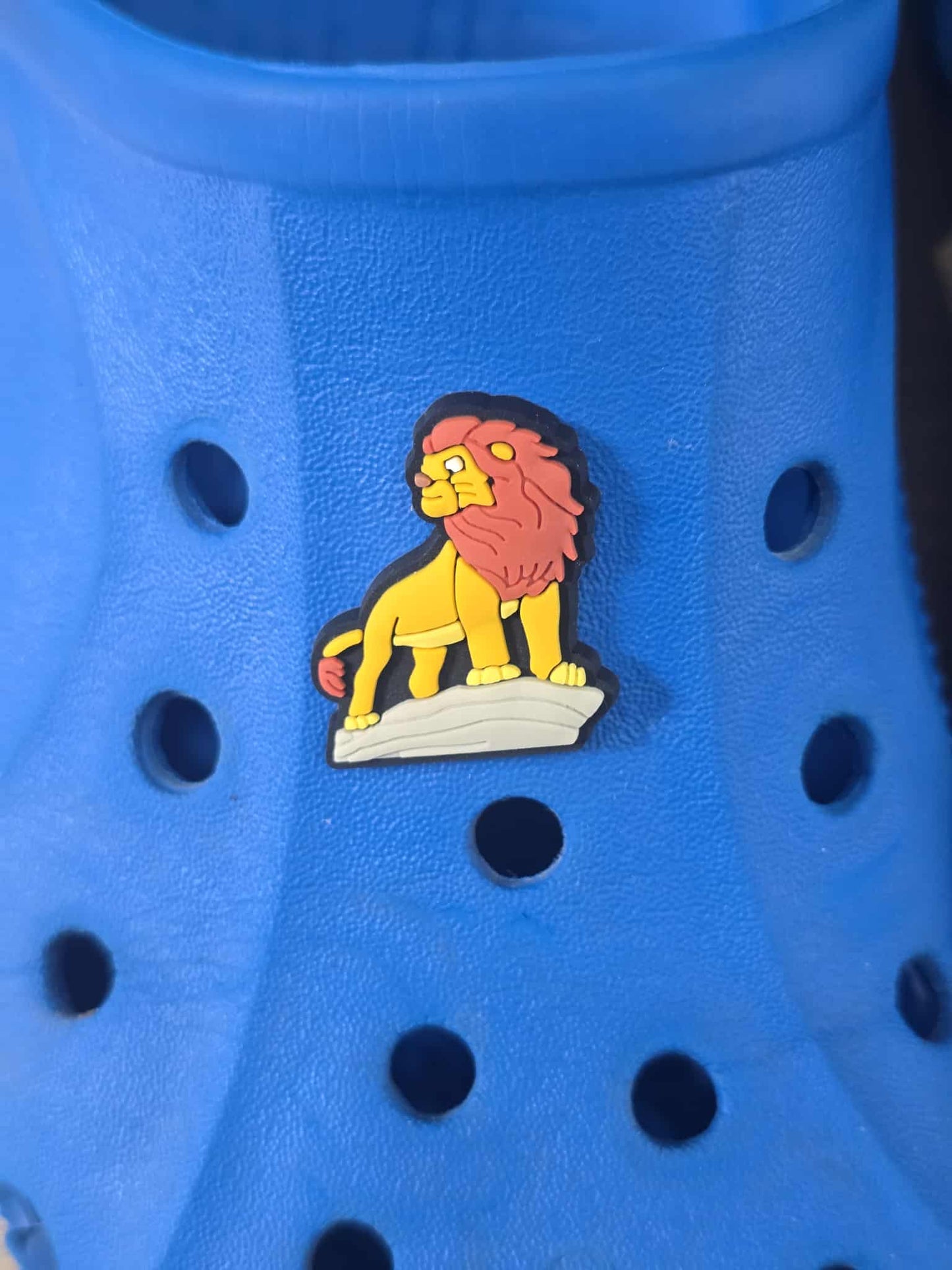 Lion King Themed Croc Charms