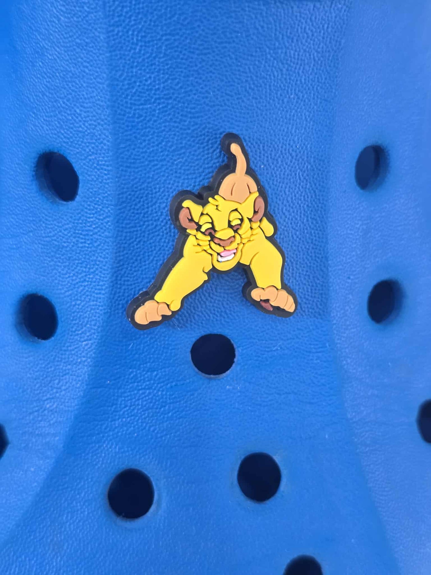 Lion King Themed Croc Charms