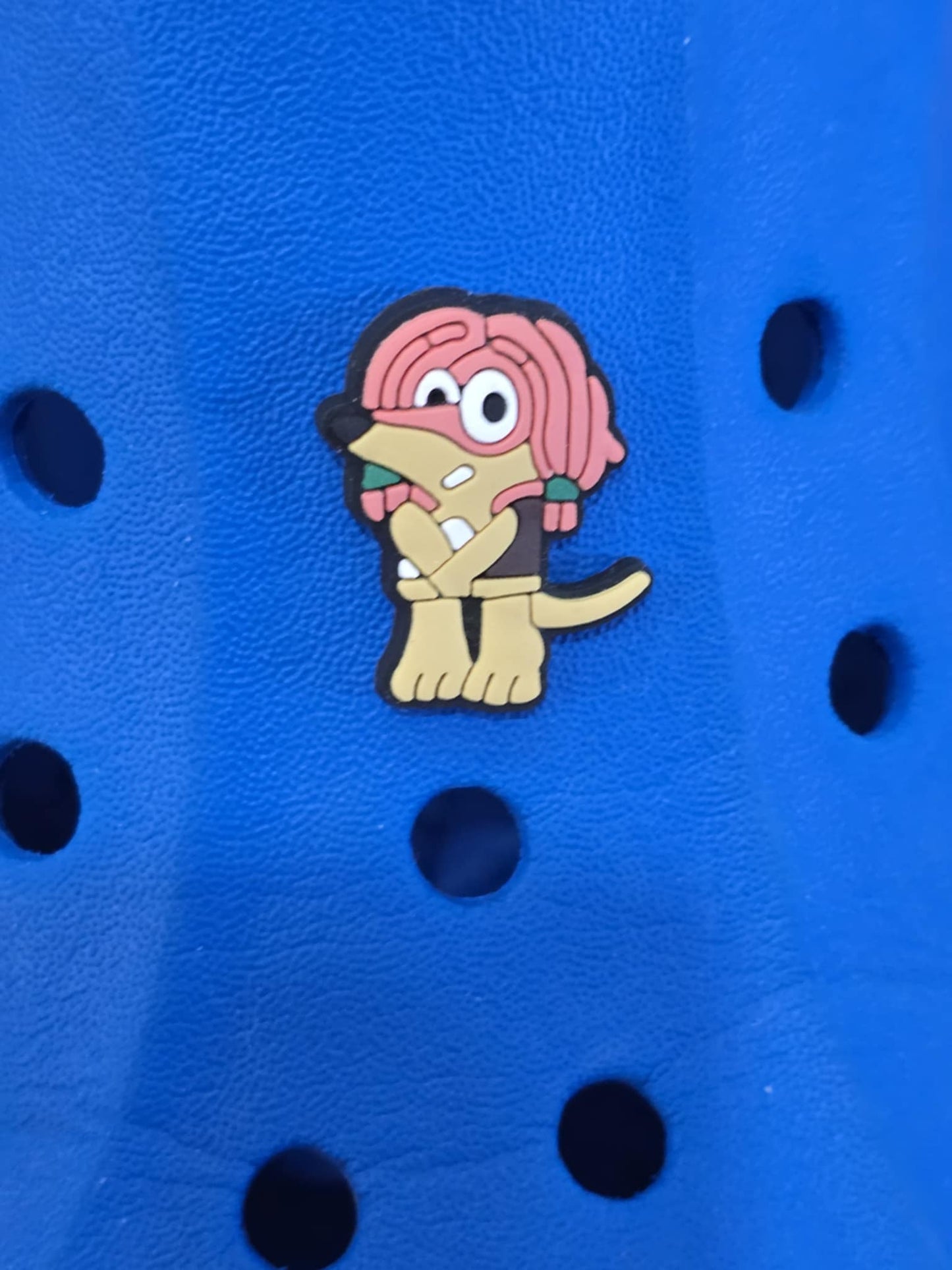 Bluey and Friends Charms